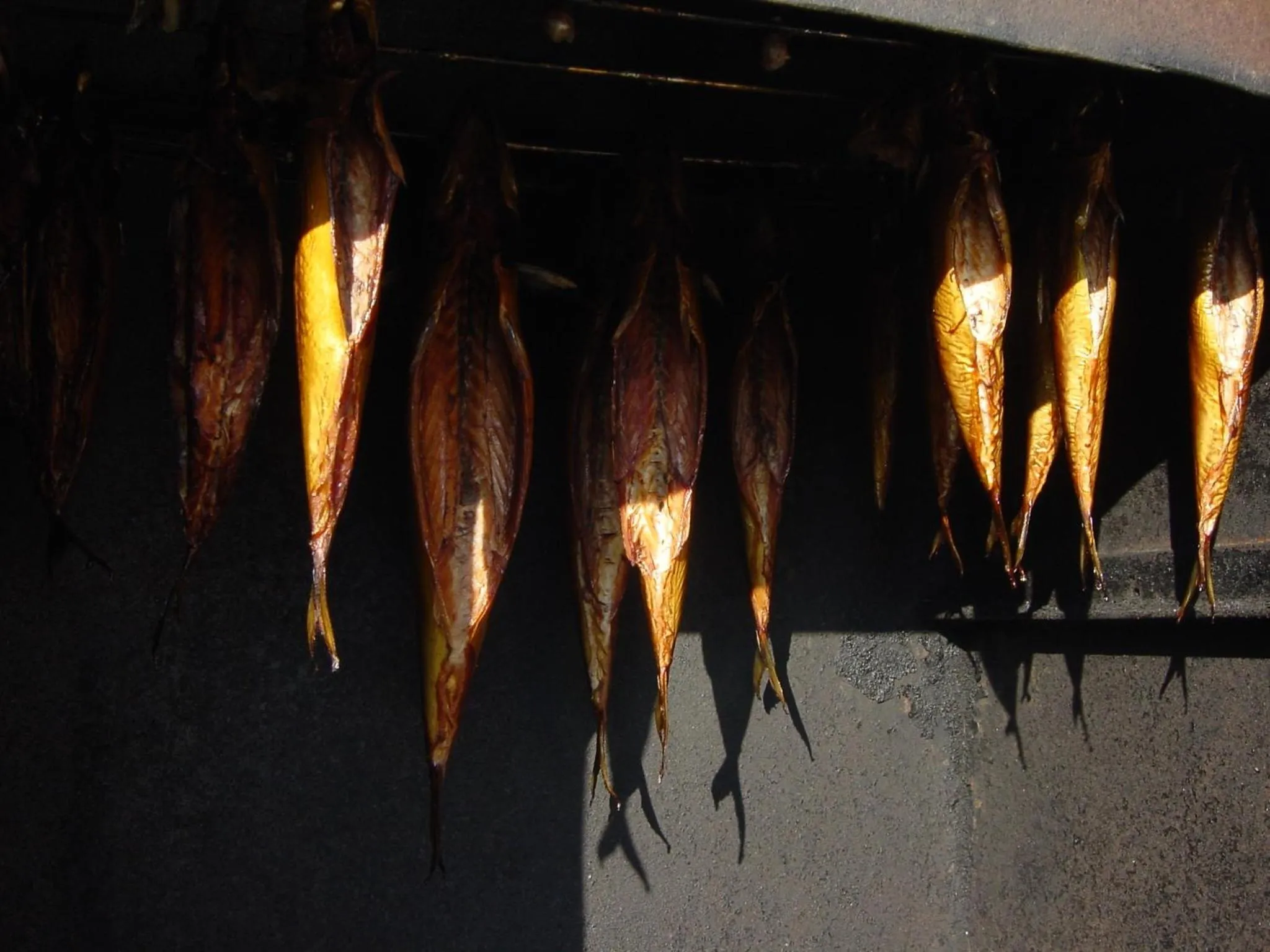 Other in Ferie På Toppen