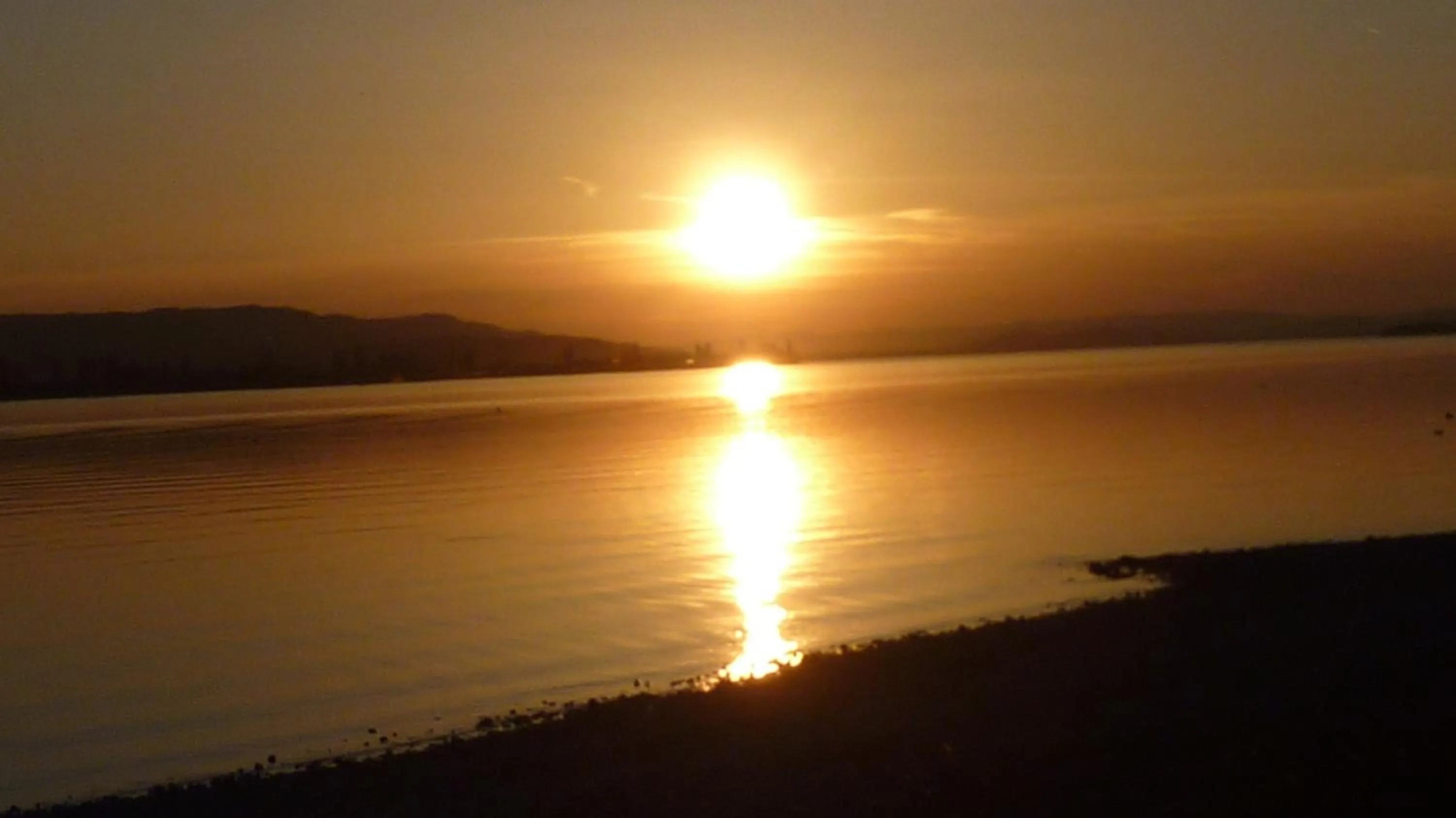 Beach in Hotel St Elisabeth
