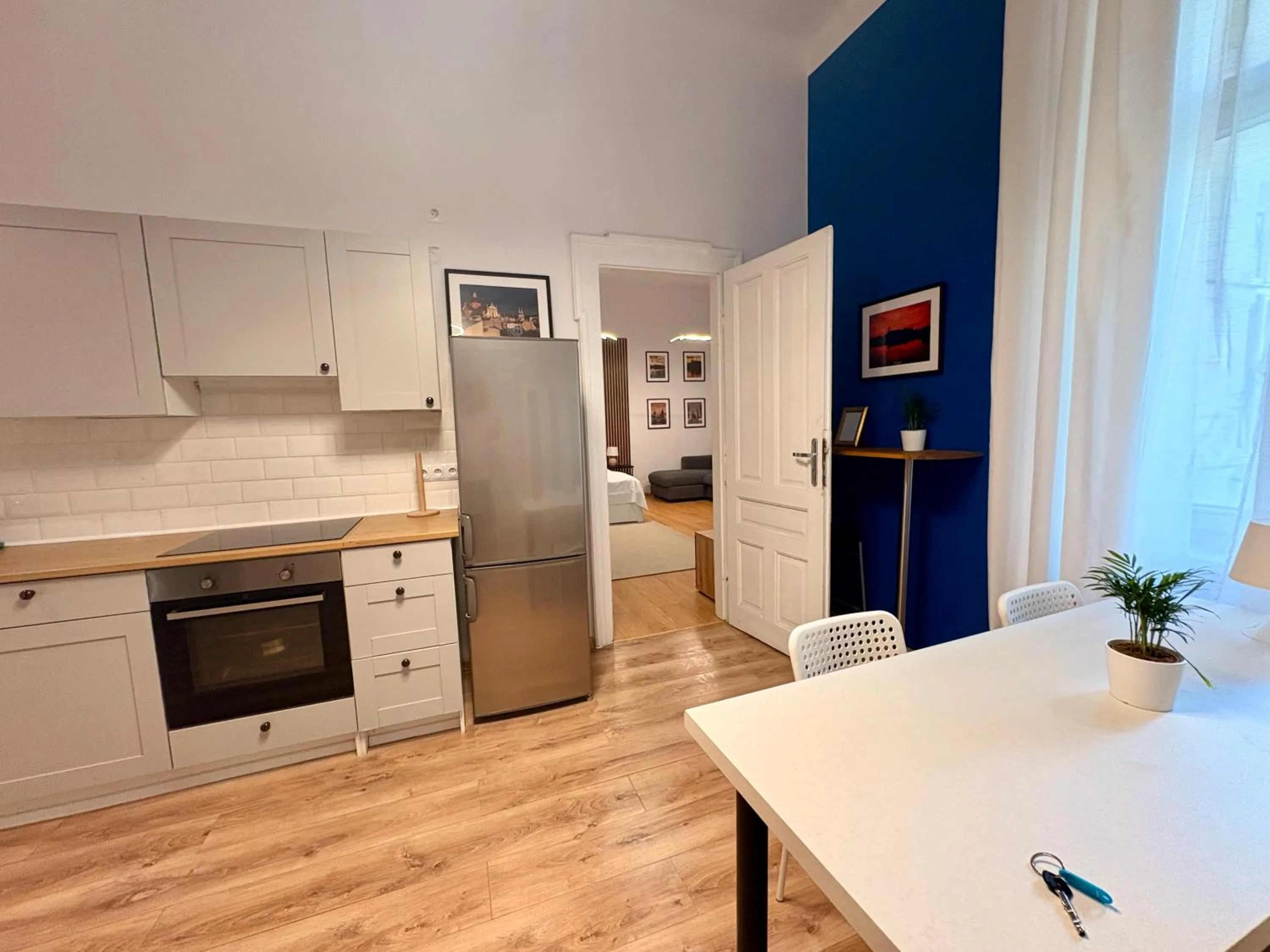 Kitchen or kitchenette in Roller Aparthotel