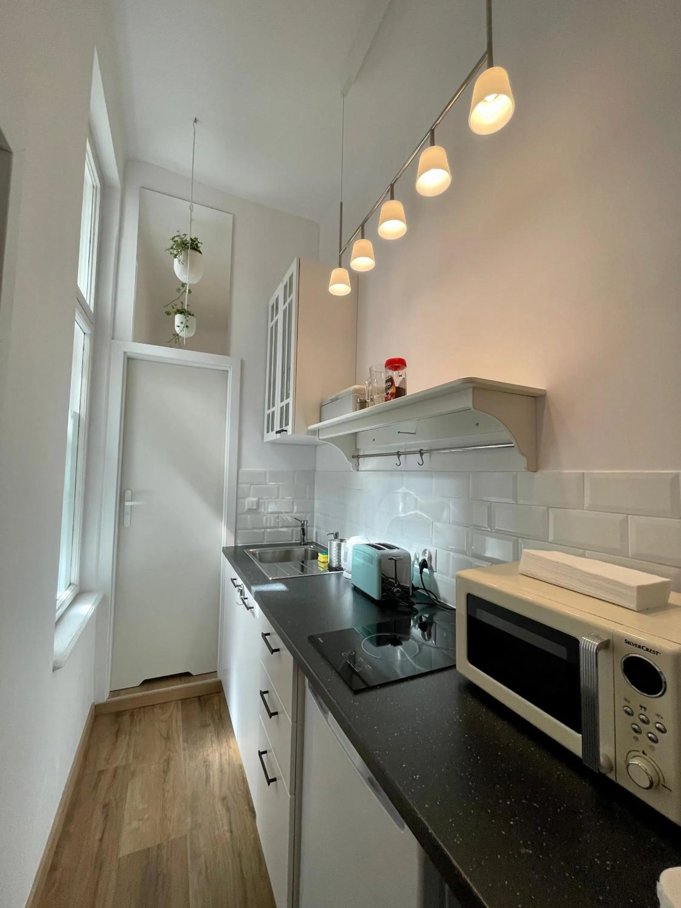 Kitchen or kitchenette in Roller Aparthotel