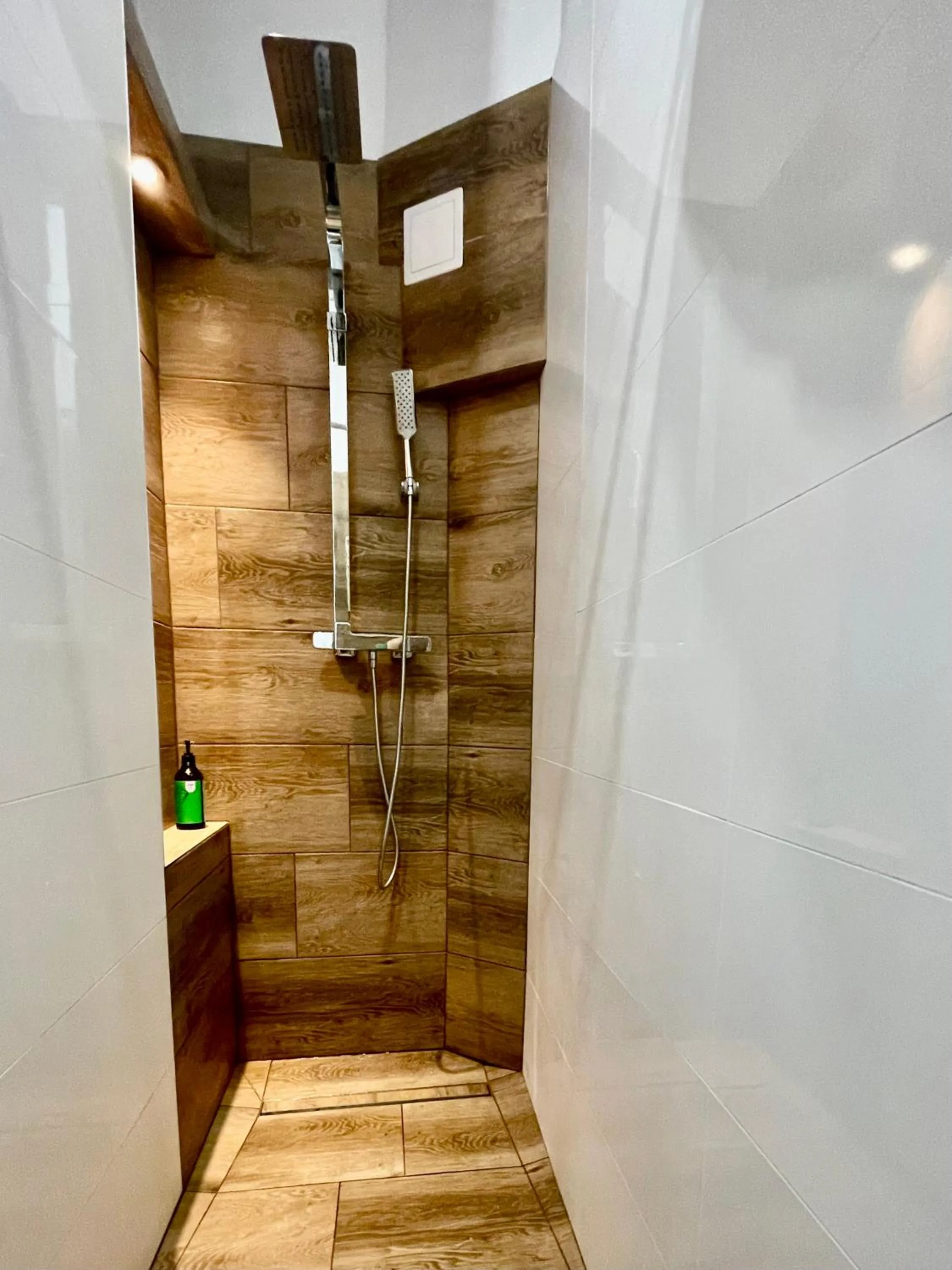 Shower in Roller Aparthotel