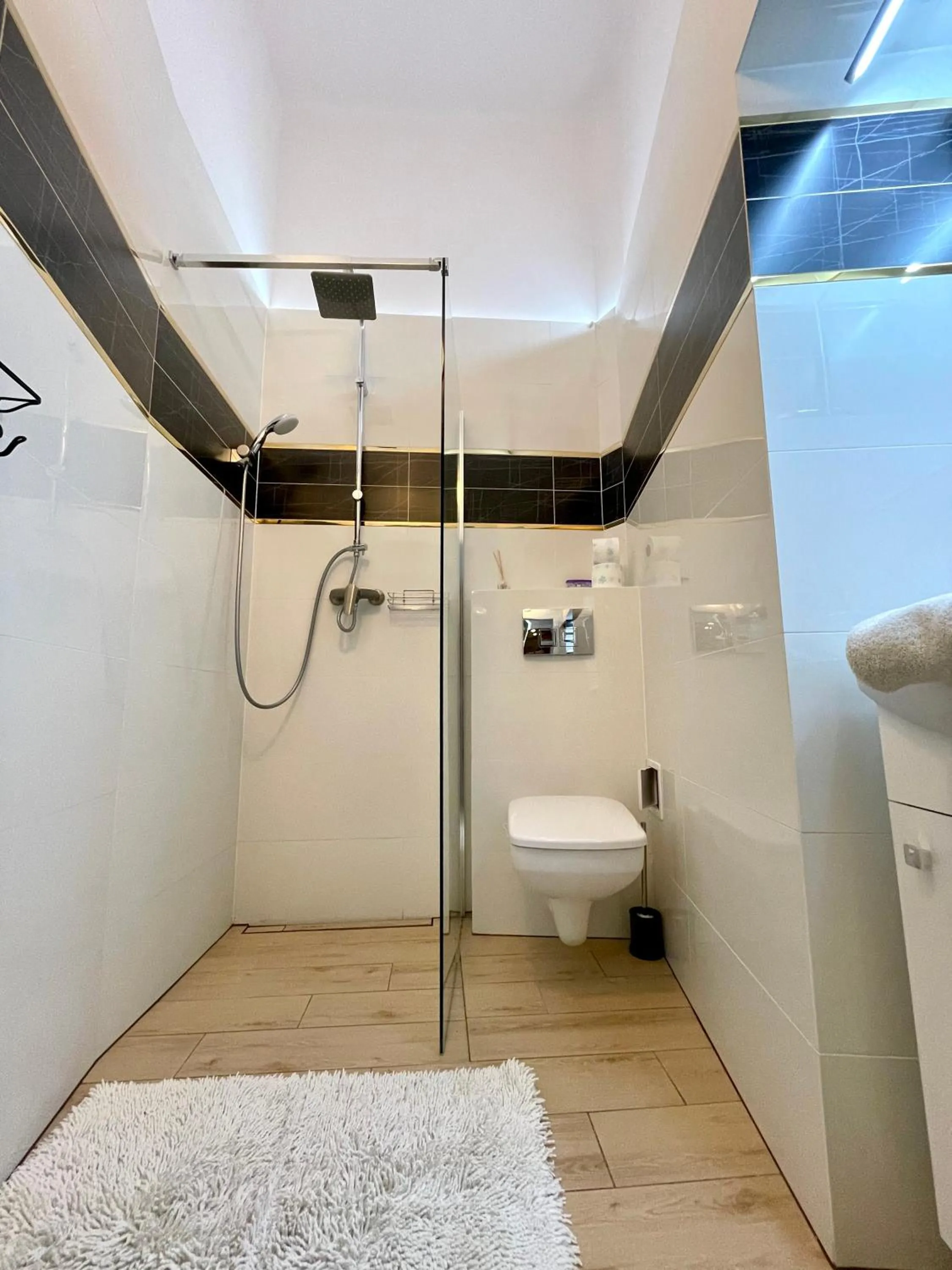 Shower in Roller Aparthotel