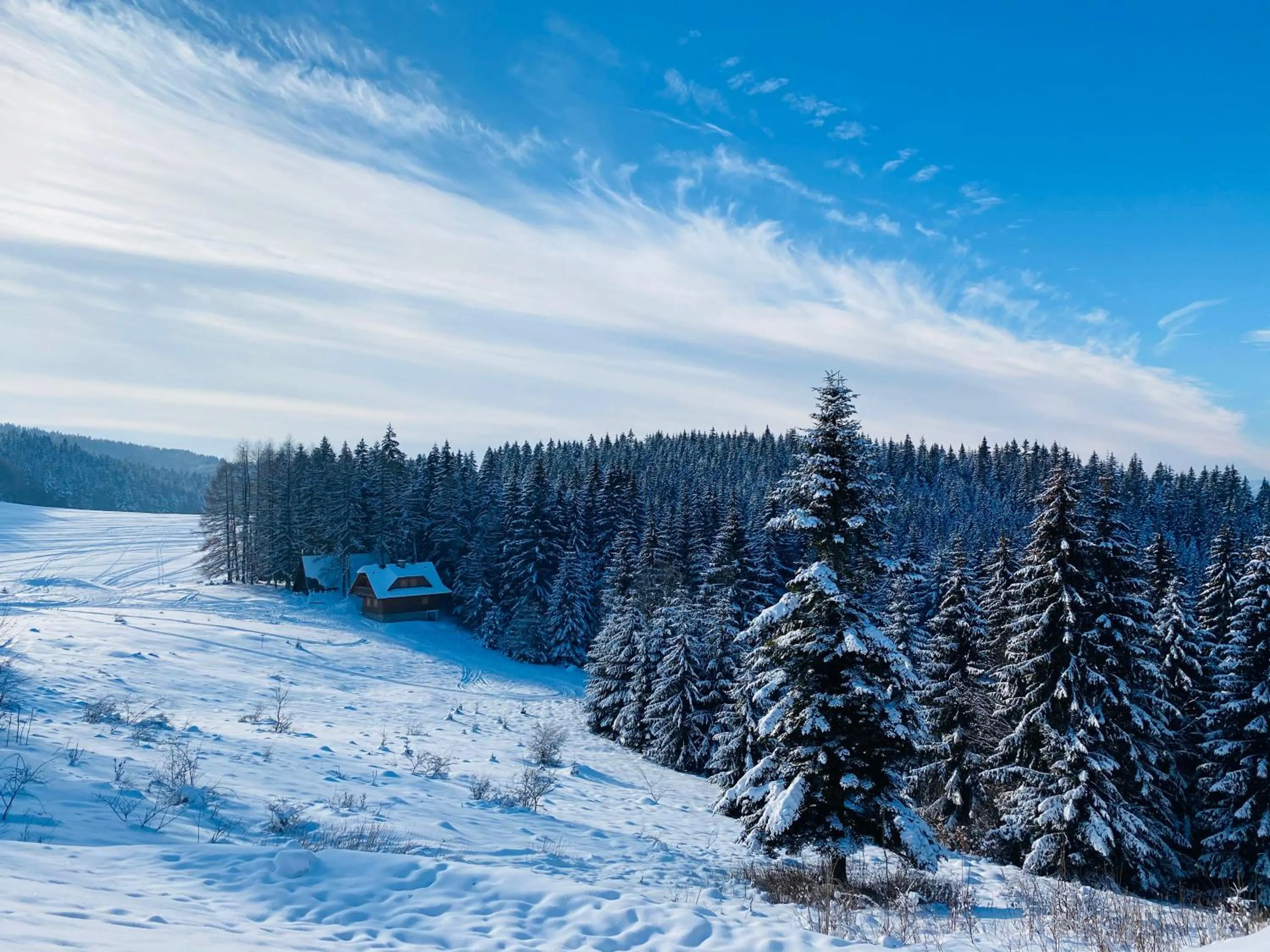 Natural landscape in Vila Ambiente Donovaly