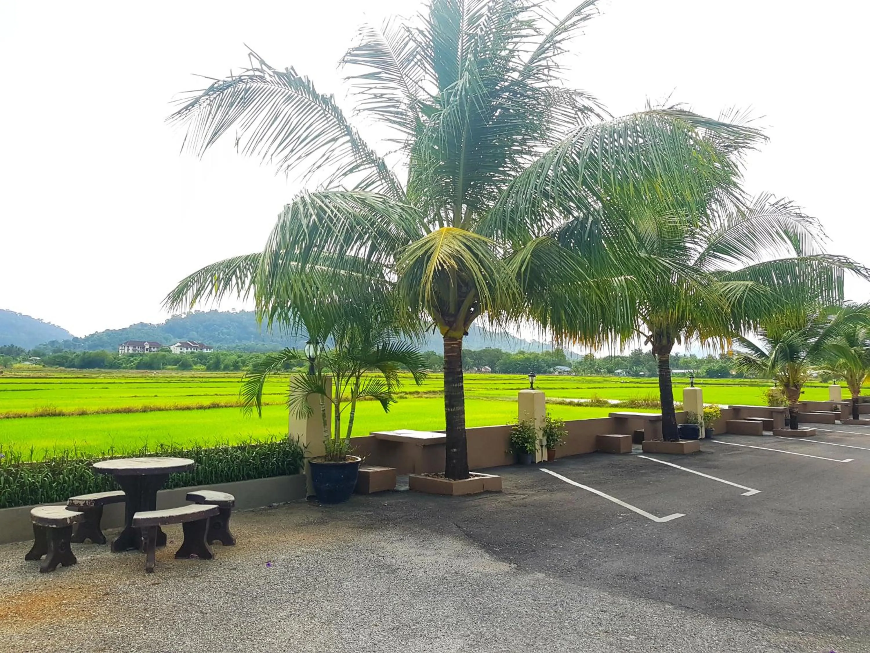 DVilla Guesthouse Langkawi