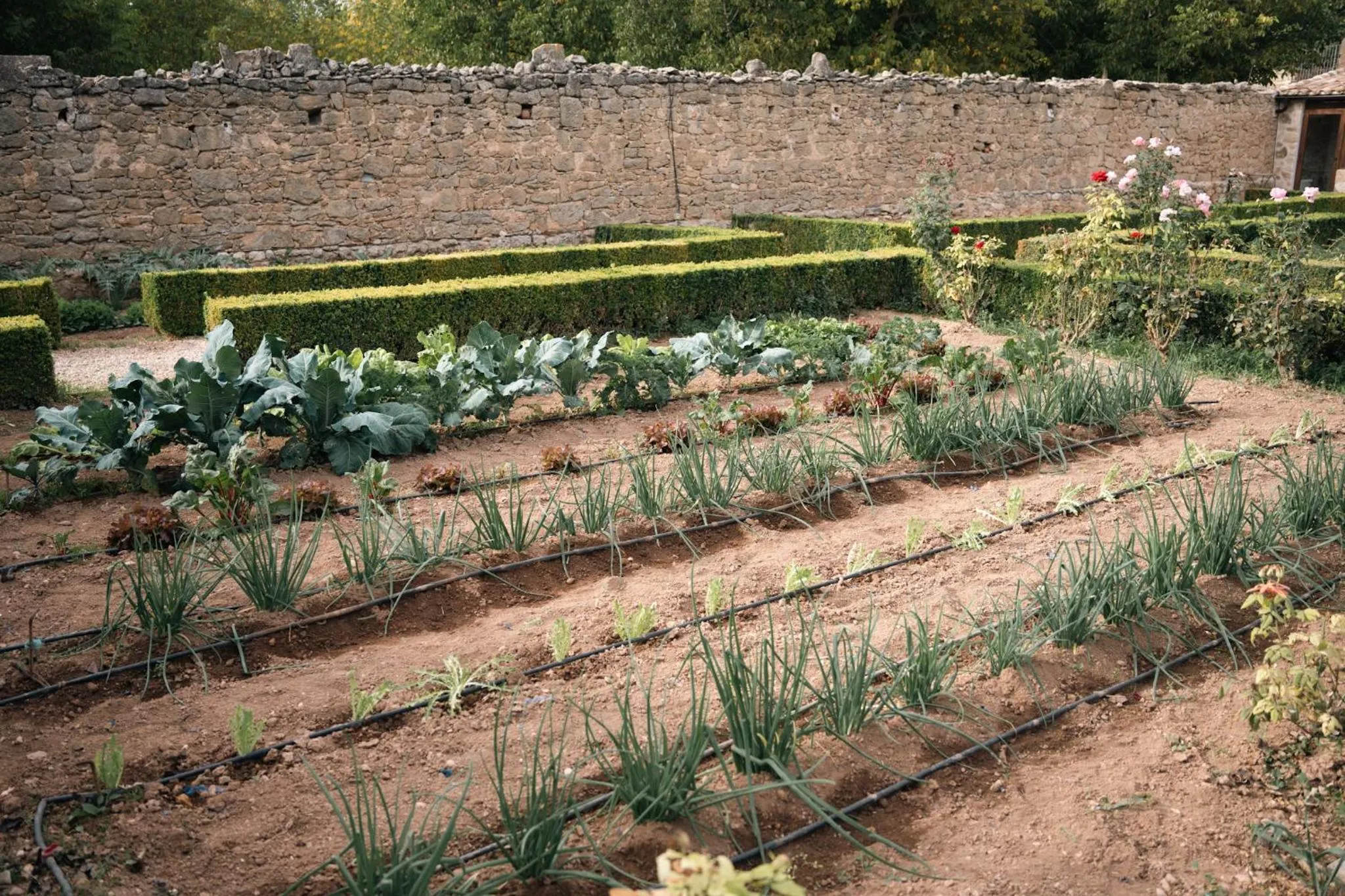 Hotel Hort De Fortunyo