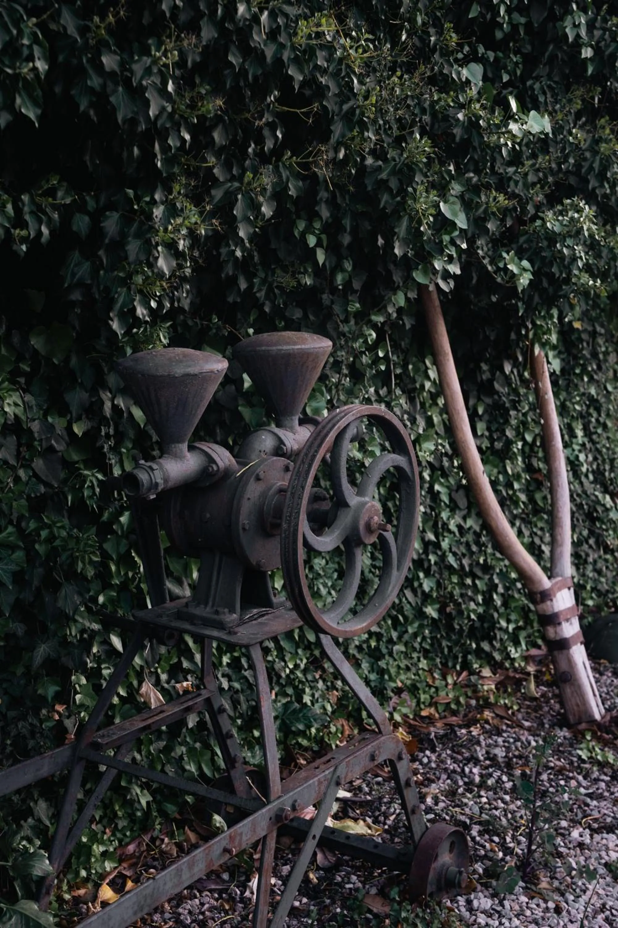 Hotel Hort De Fortunyo