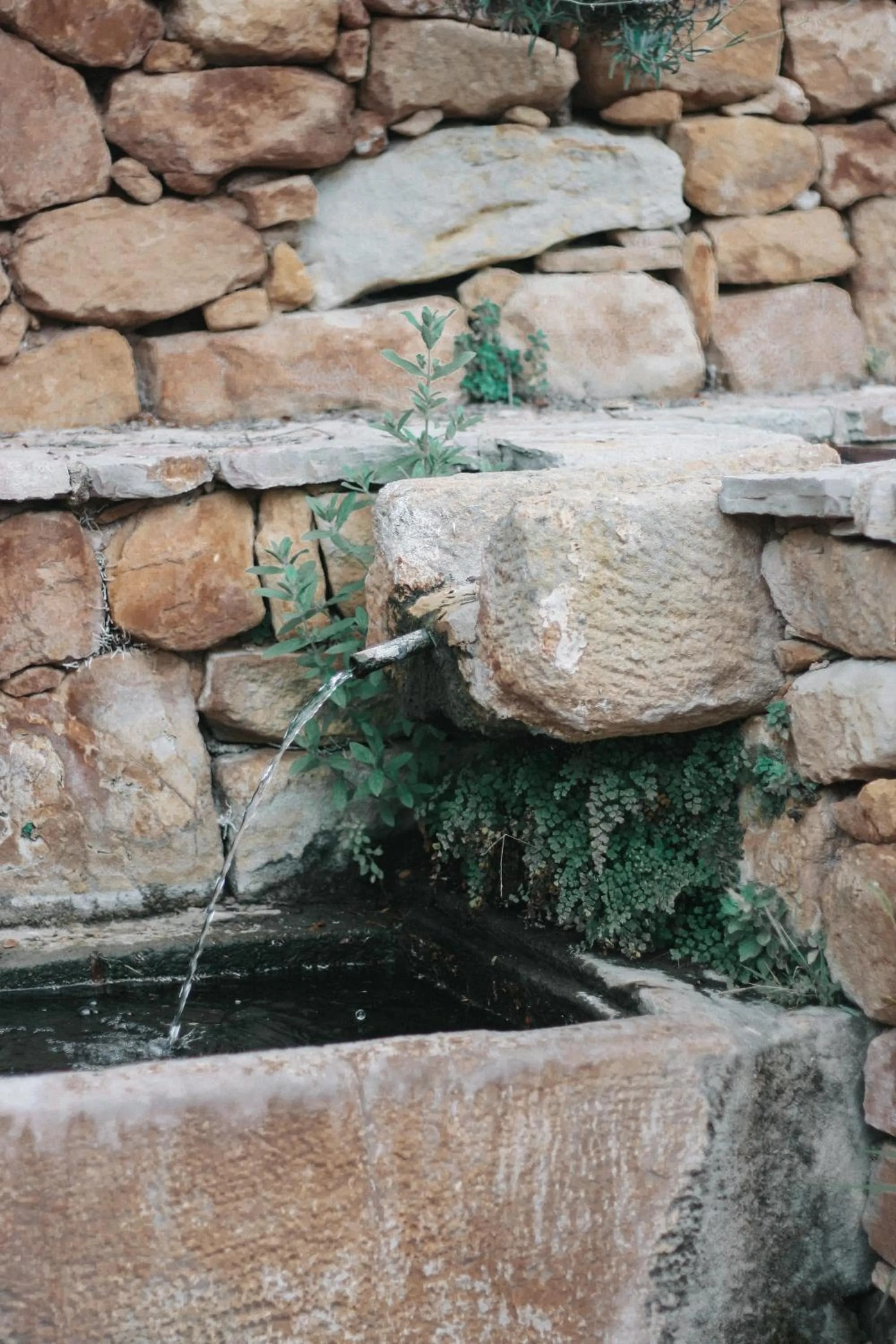 Hotel Hort De Fortunyo