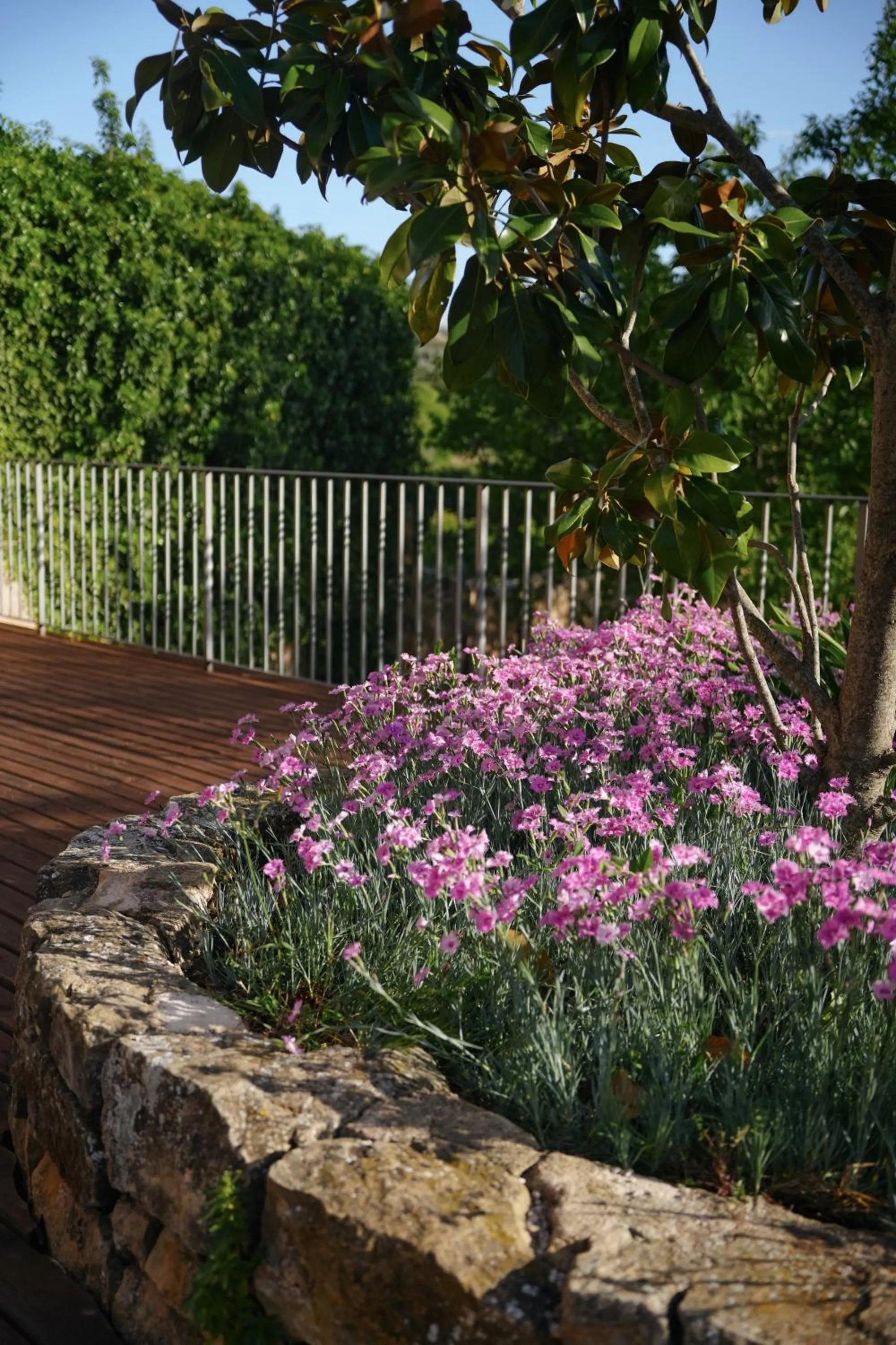 Hotel Hort De Fortunyo