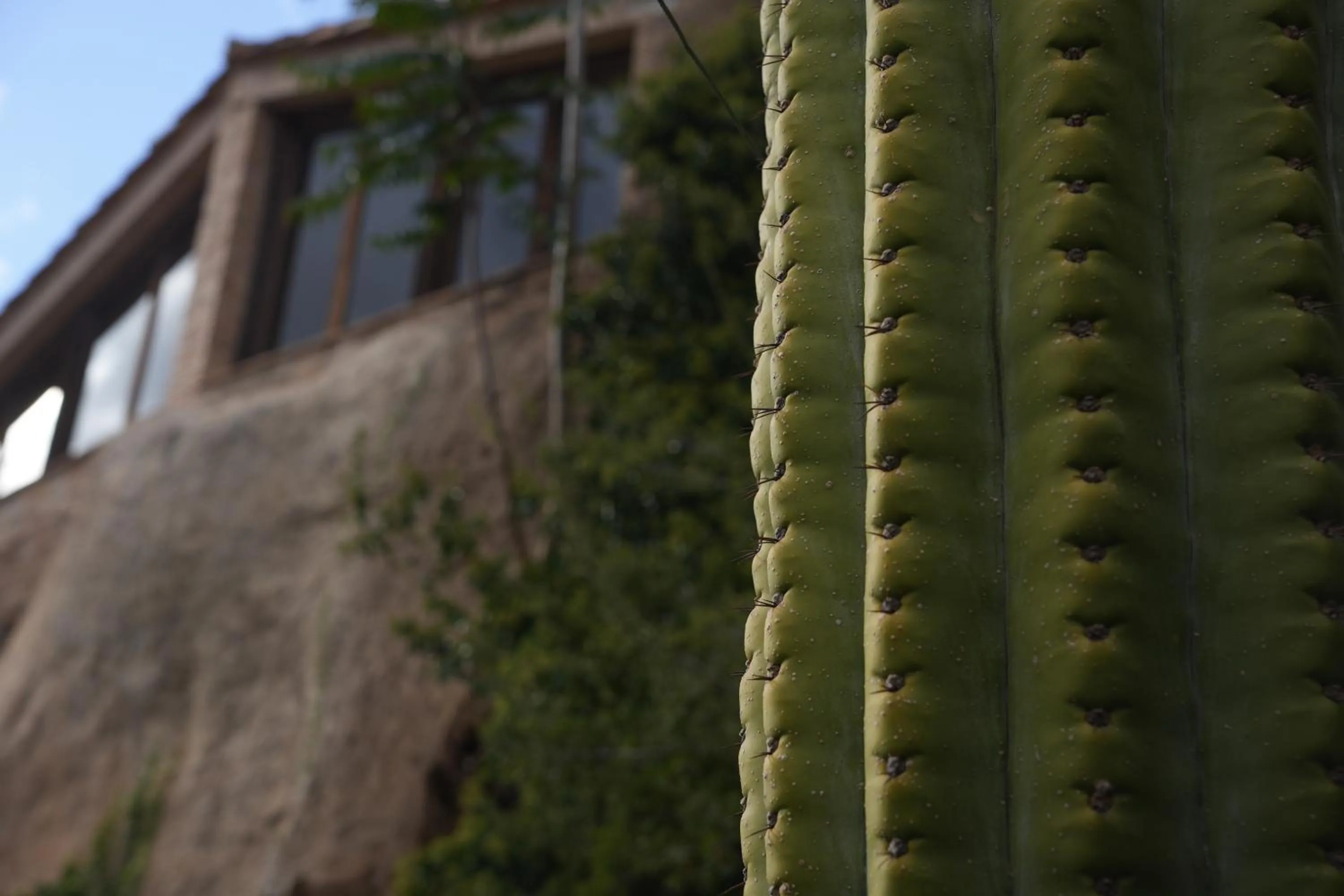 Hotel Hort De Fortunyo