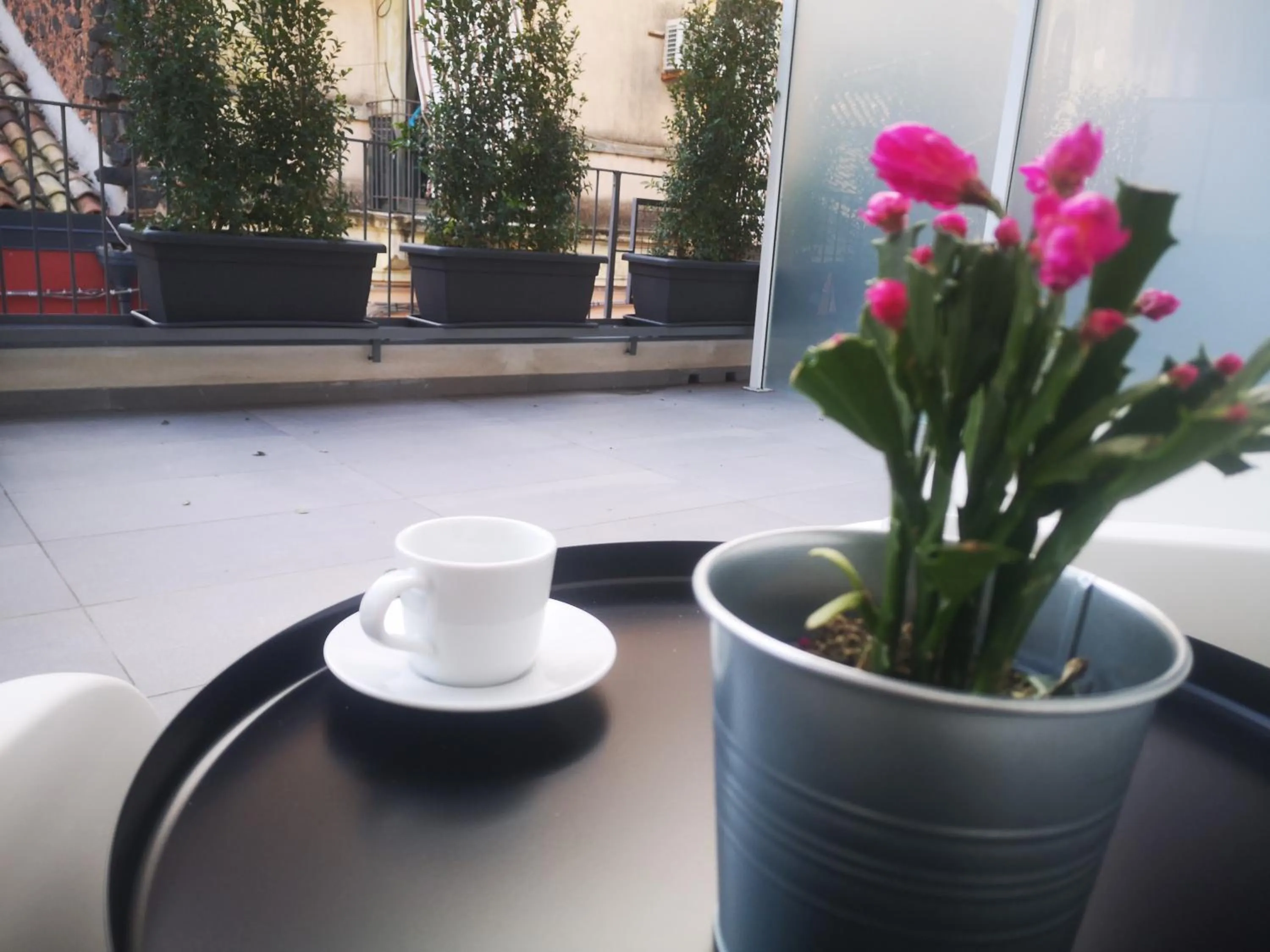 Drinks in ARMISI B&B