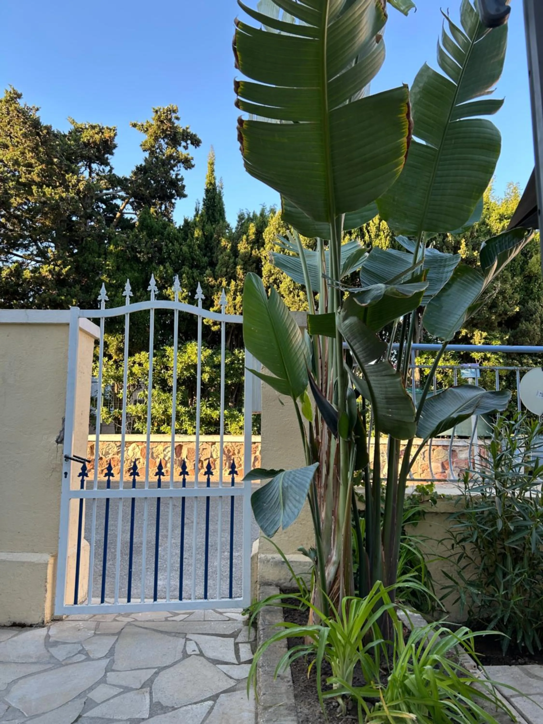 Facade/entrance in Hôtel L'Escale Au Soleil