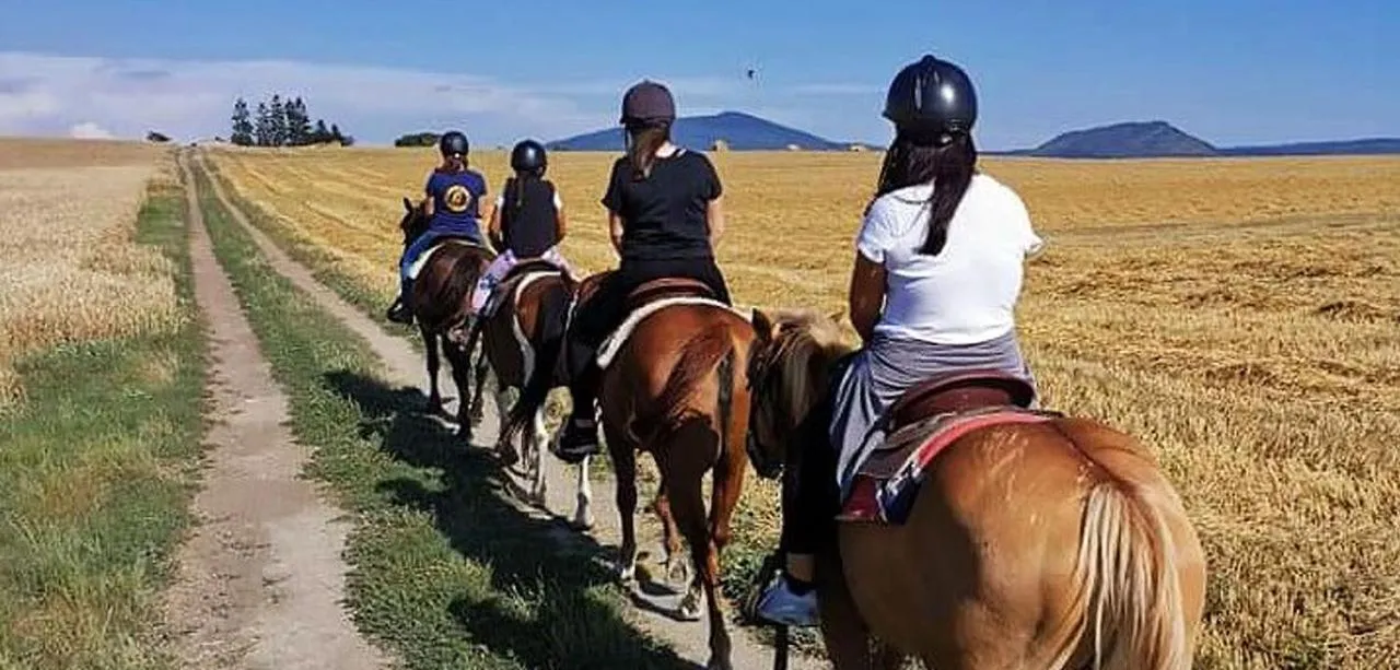 Horse-riding in Agriturismo Colle Salomonio