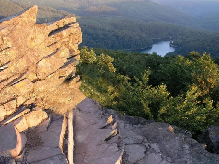 Area and facilities in Hotel Kamei