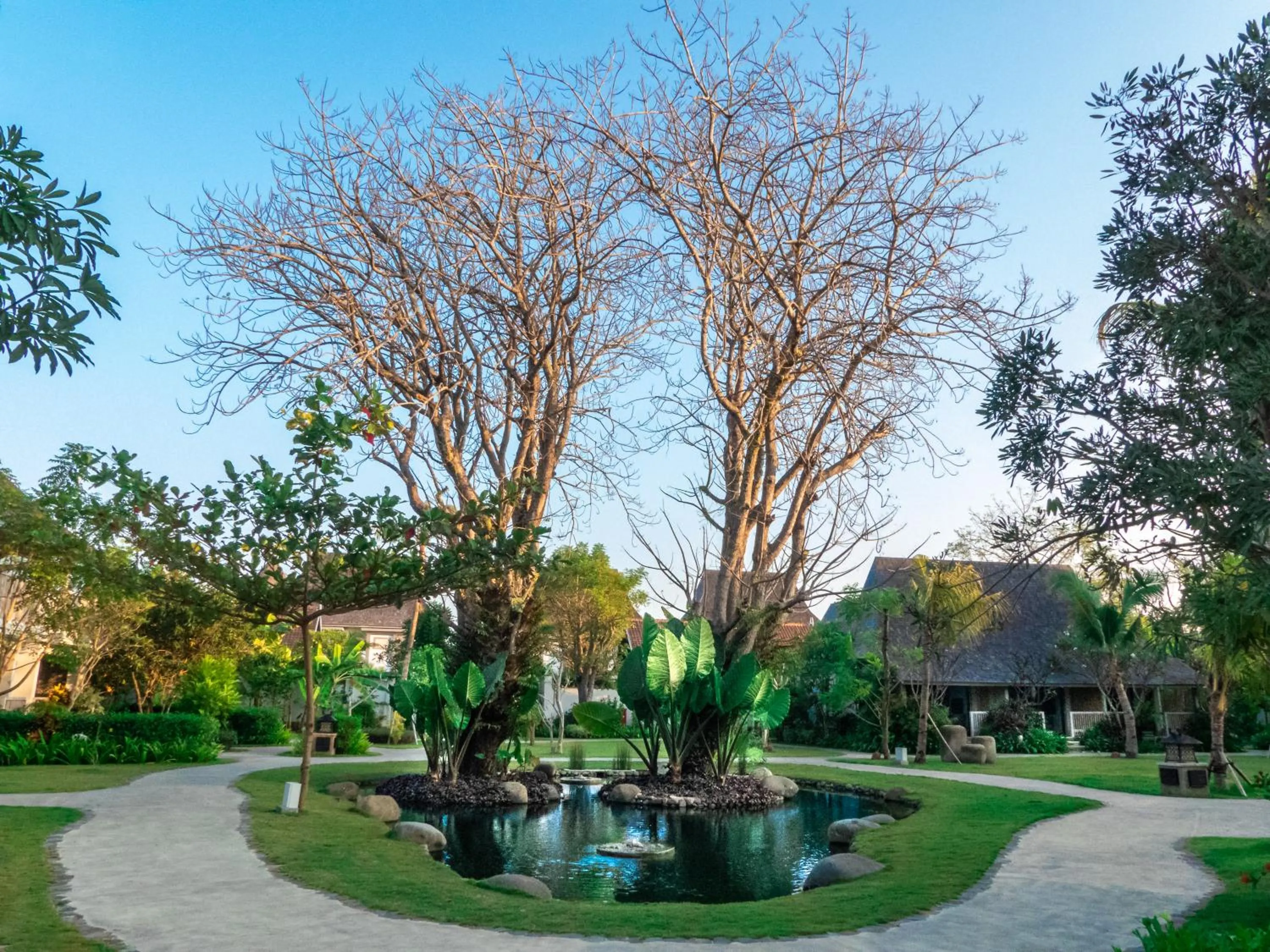 Area and facilities in Sudamala Resort, Komodo, Labuan Bajo