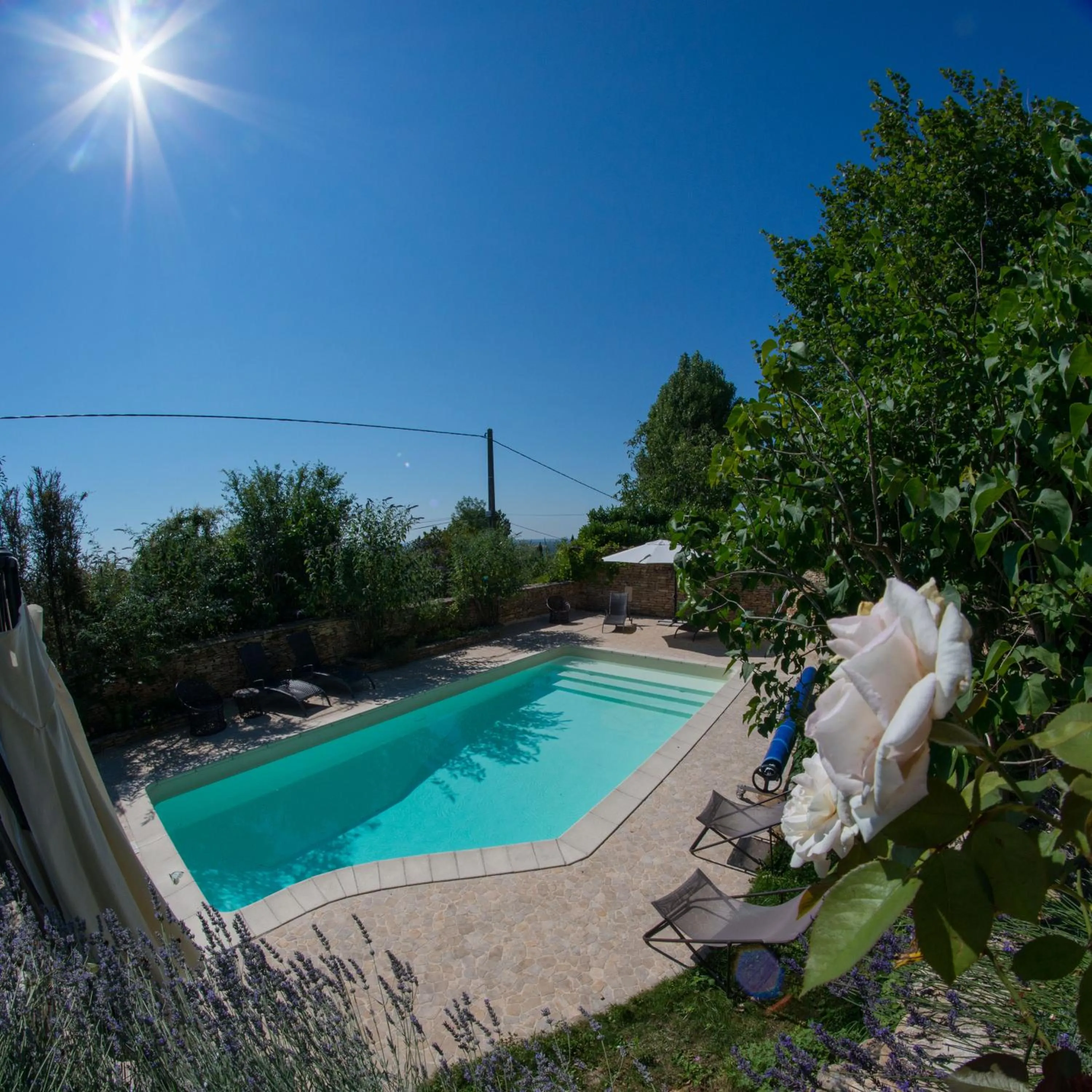 Garden in La Terre d'Or