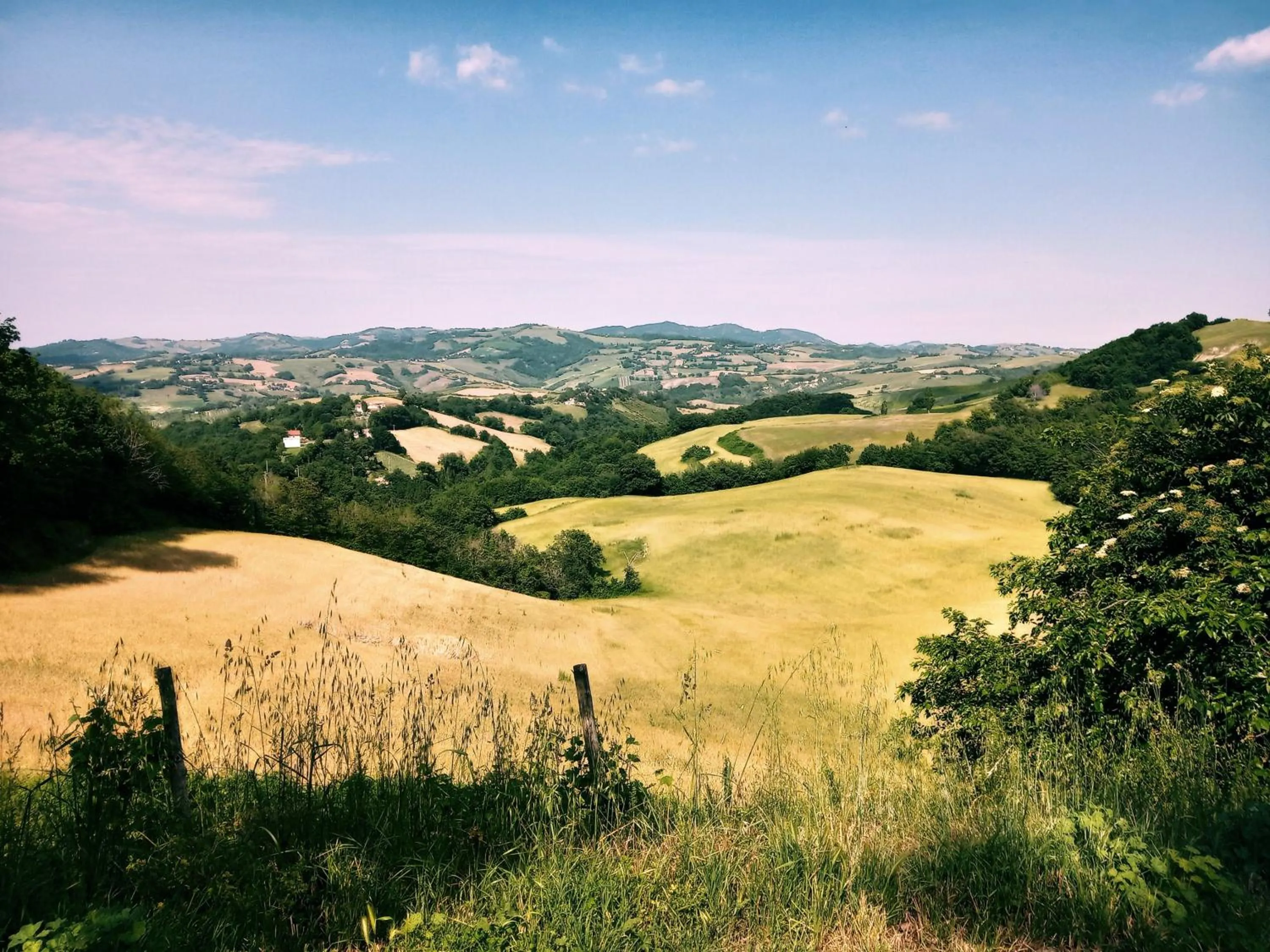 View (from property/room) in B&B Lupin View