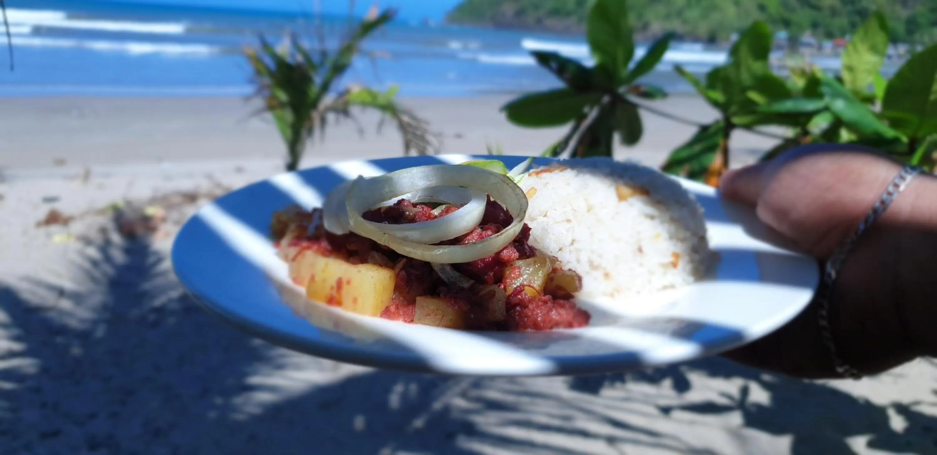 Zhaya's Beach & Cottages