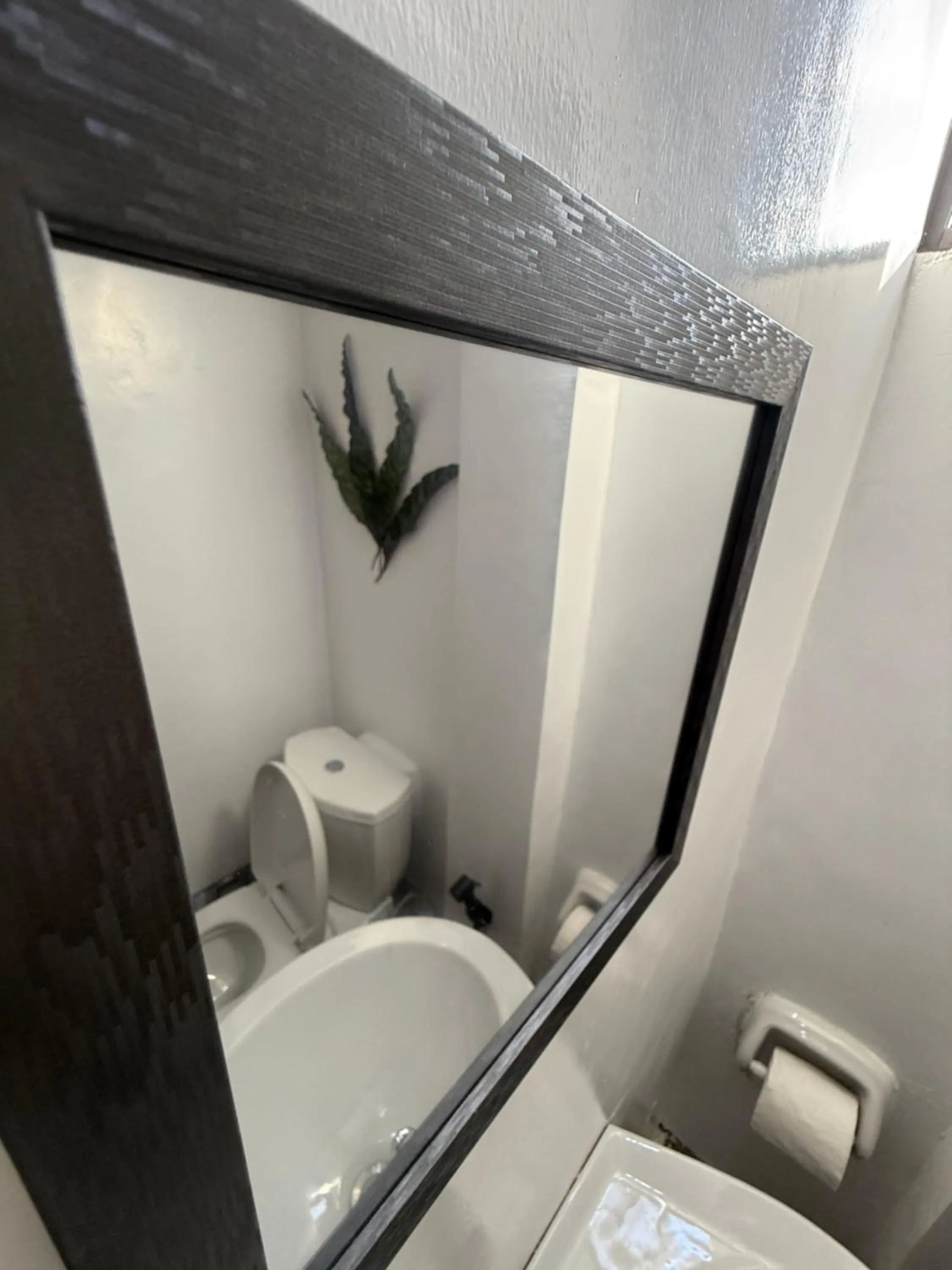 Zhaya's Beach & Cottages