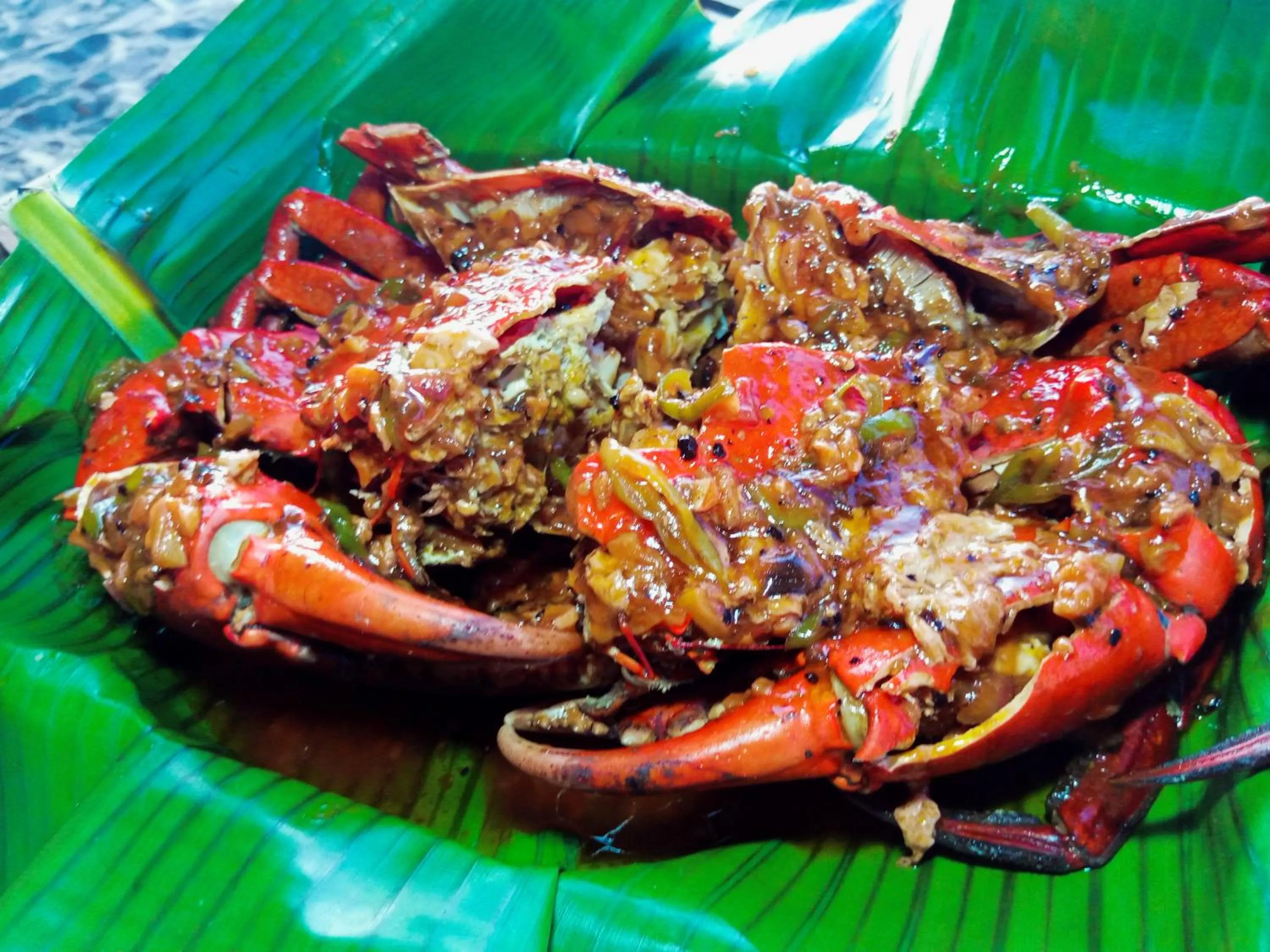 Zhaya's Beach & Cottages