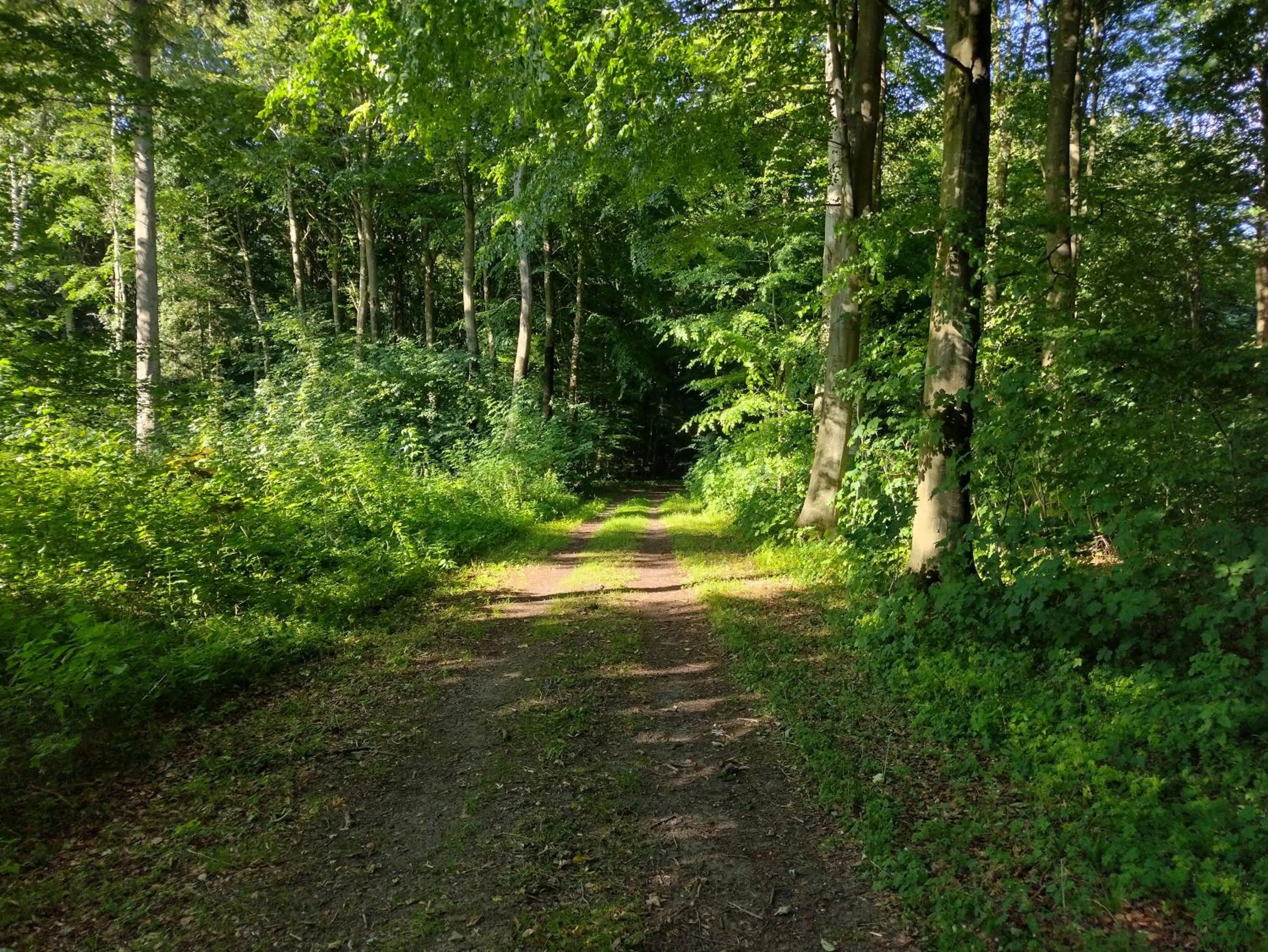 Summer in Den Gamle Apotekergaard