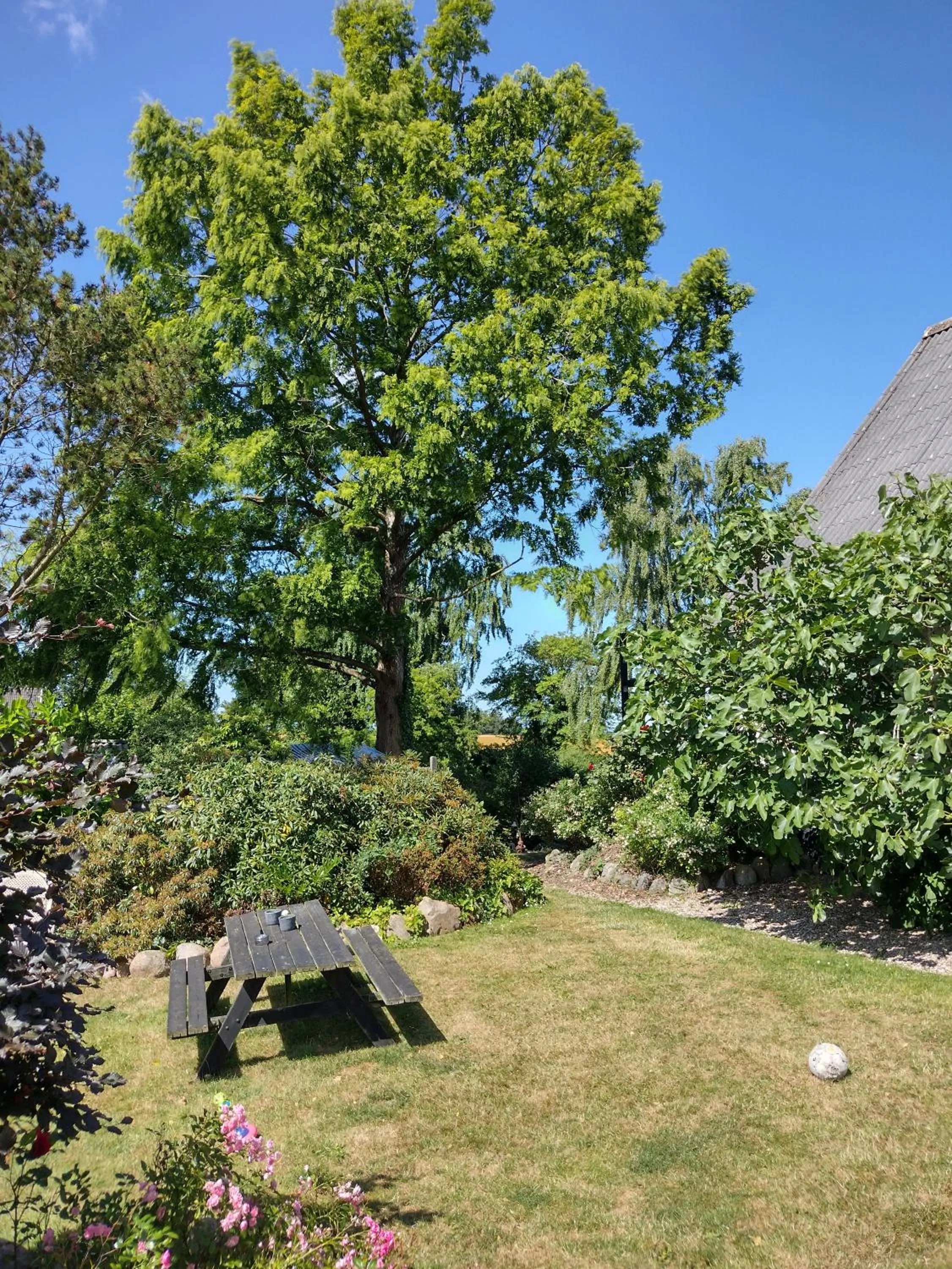 Garden in Den Gamle Apotekergaard