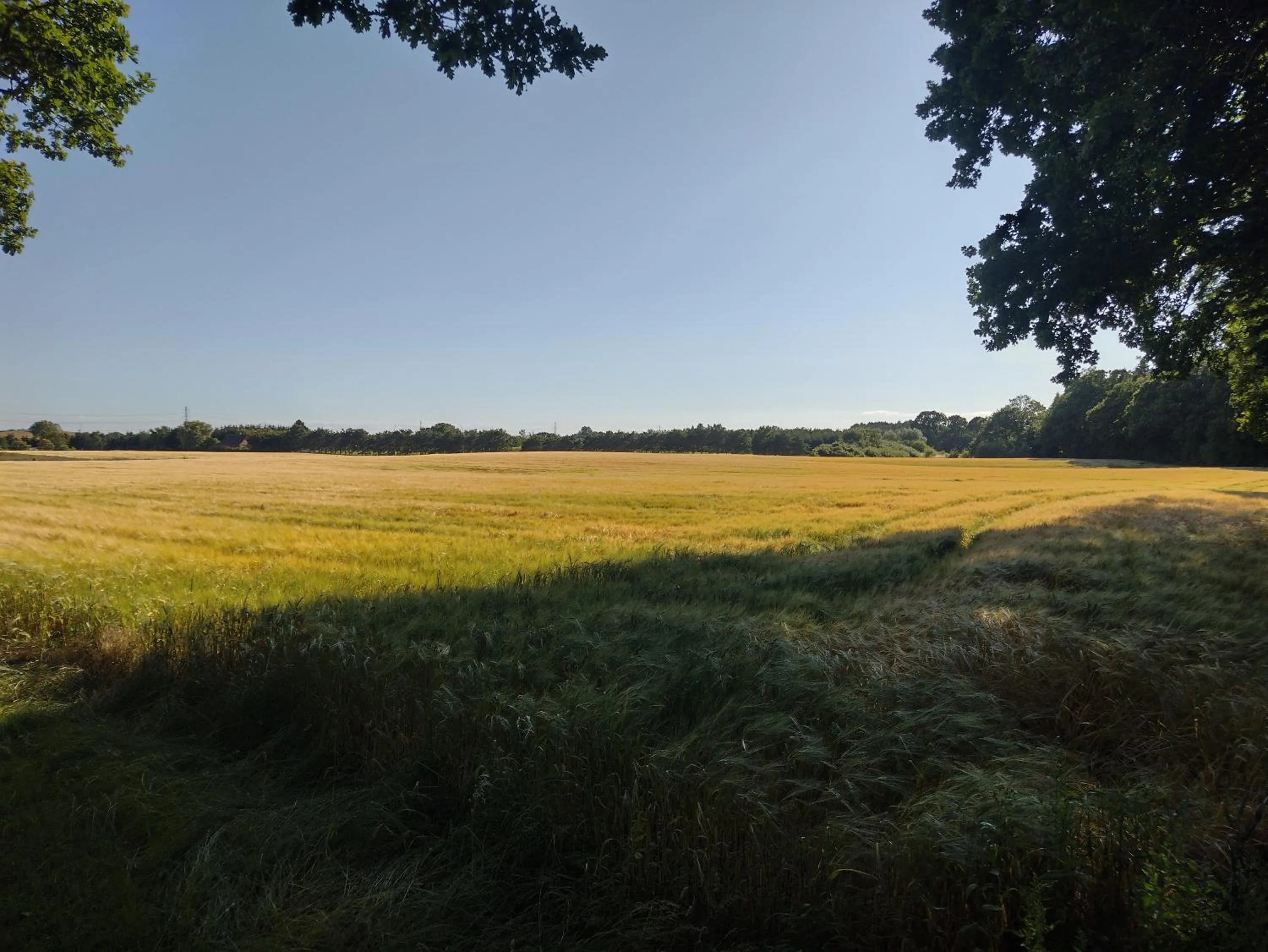 View (from property/room) in Den Gamle Apotekergaard