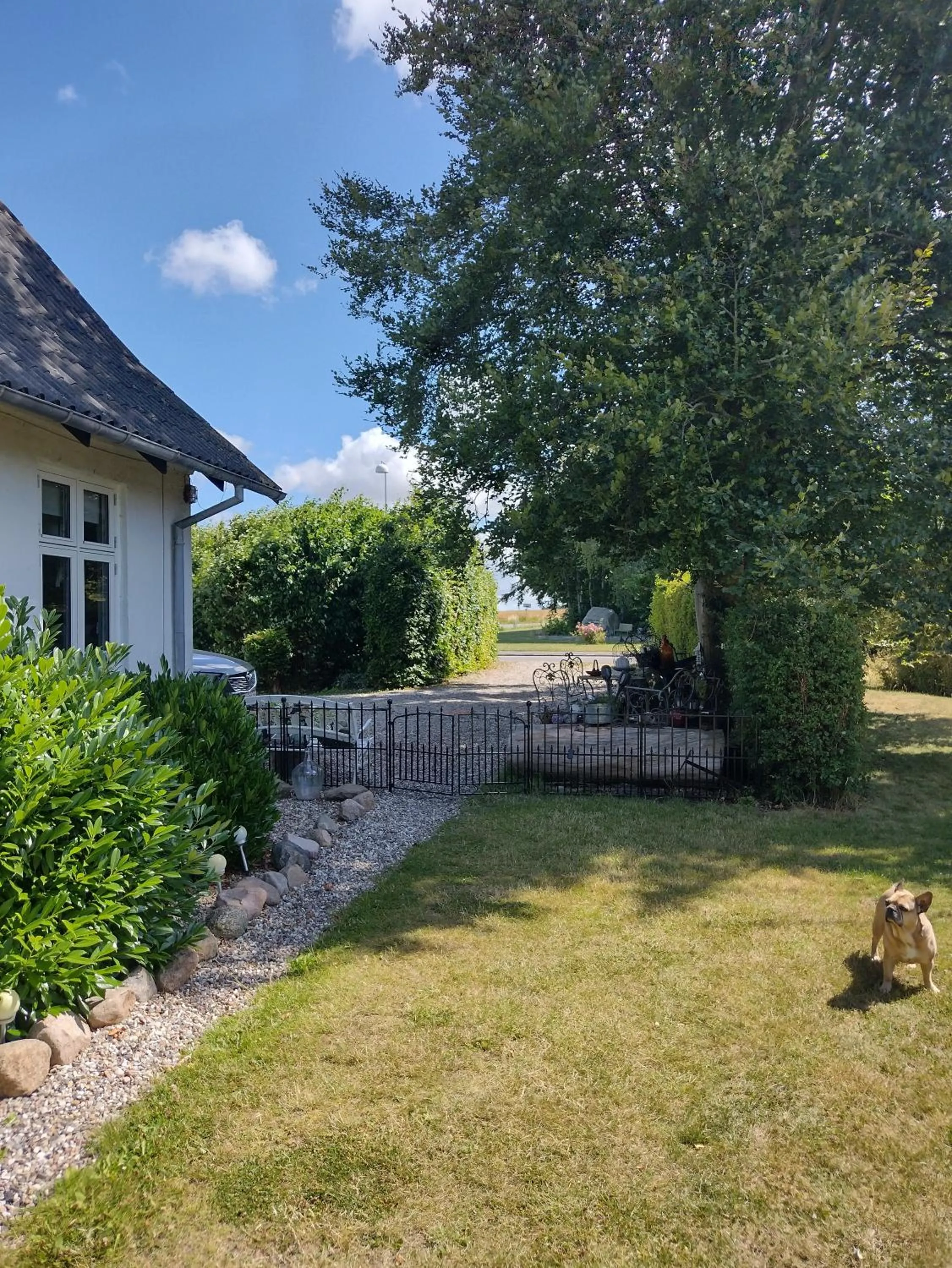 Garden in Den Gamle Apotekergaard