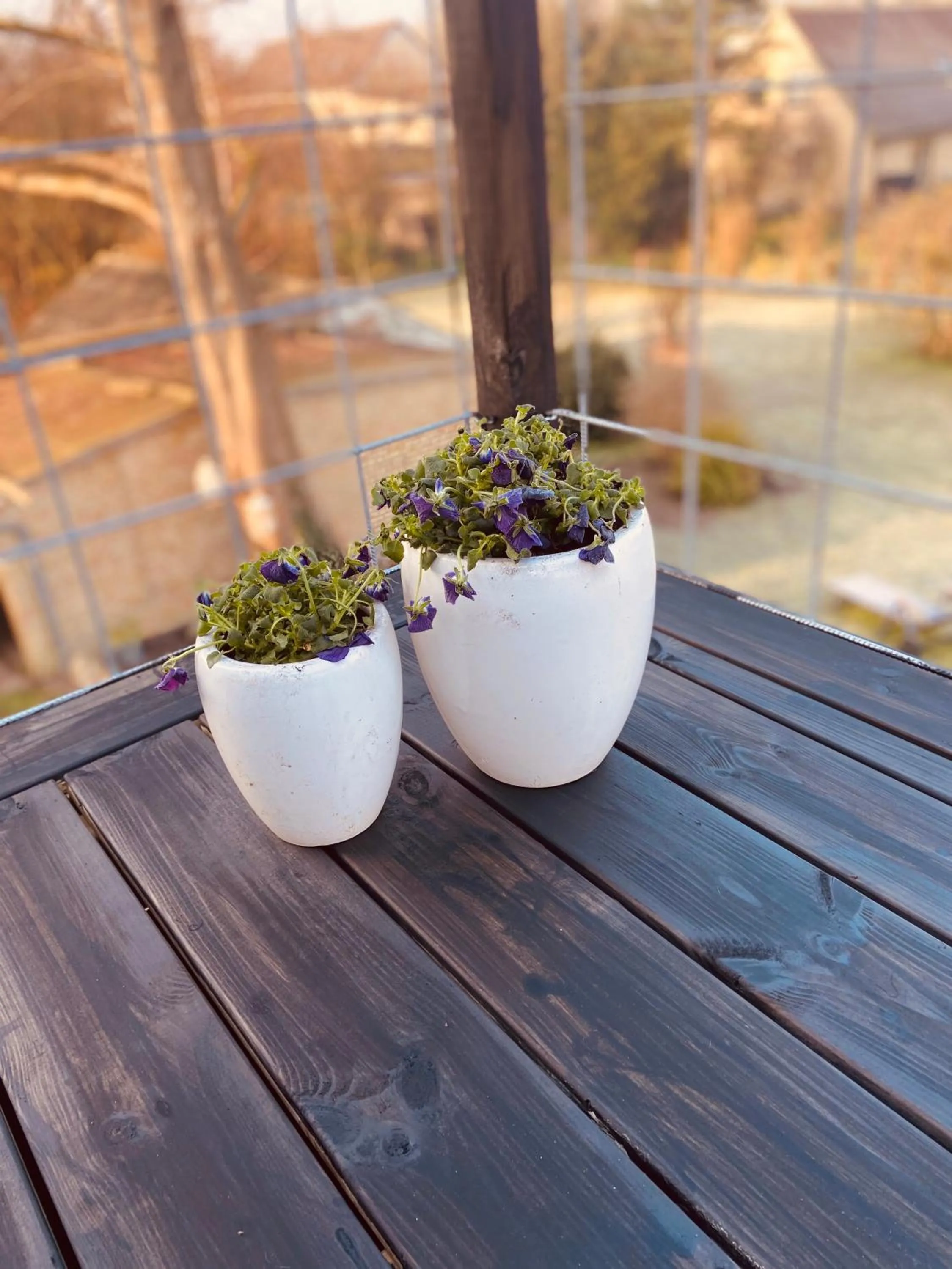 Den Gamle Apotekergaard