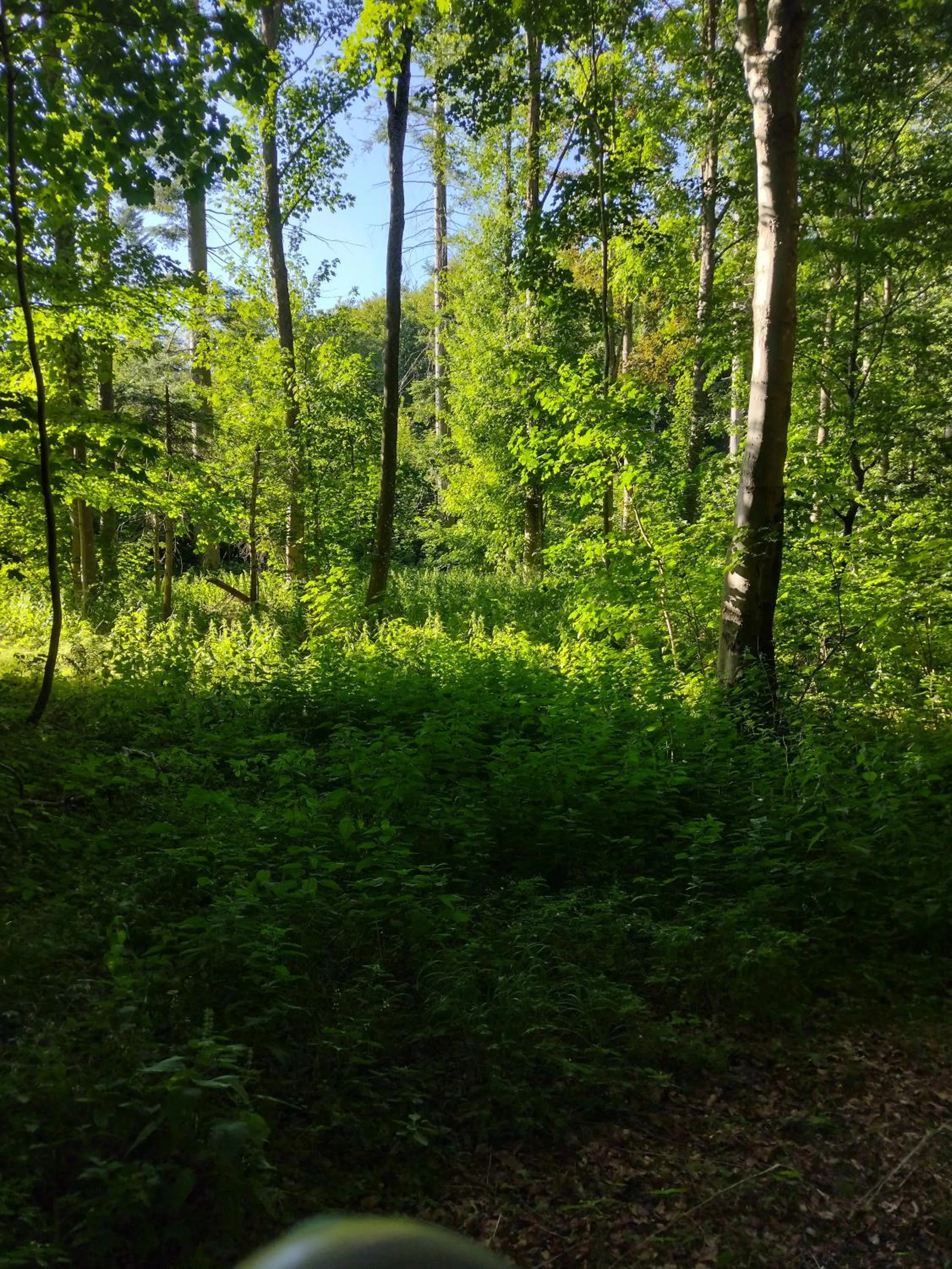 Den Gamle Apotekergaard