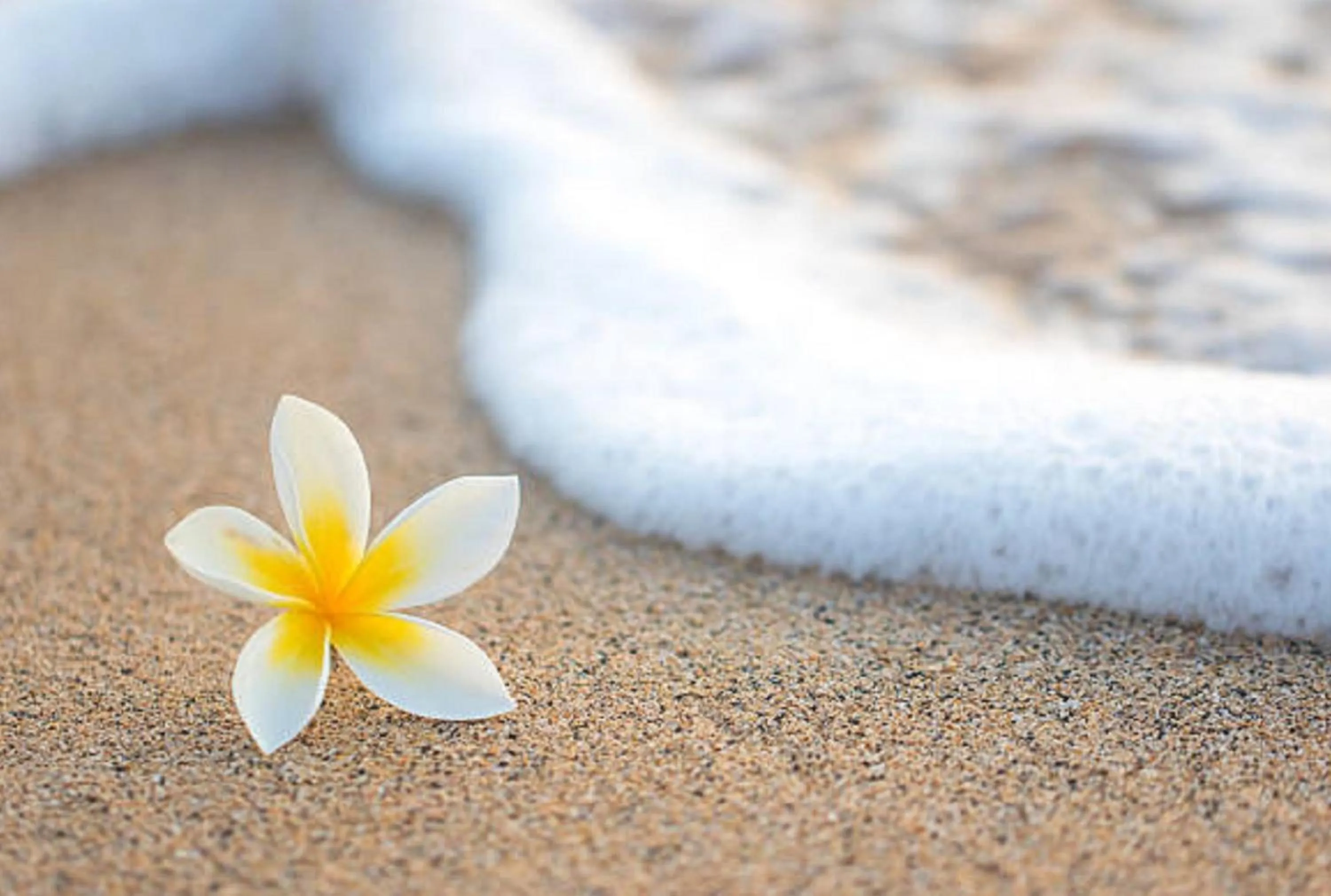 Decorative detail in Club Cocomo