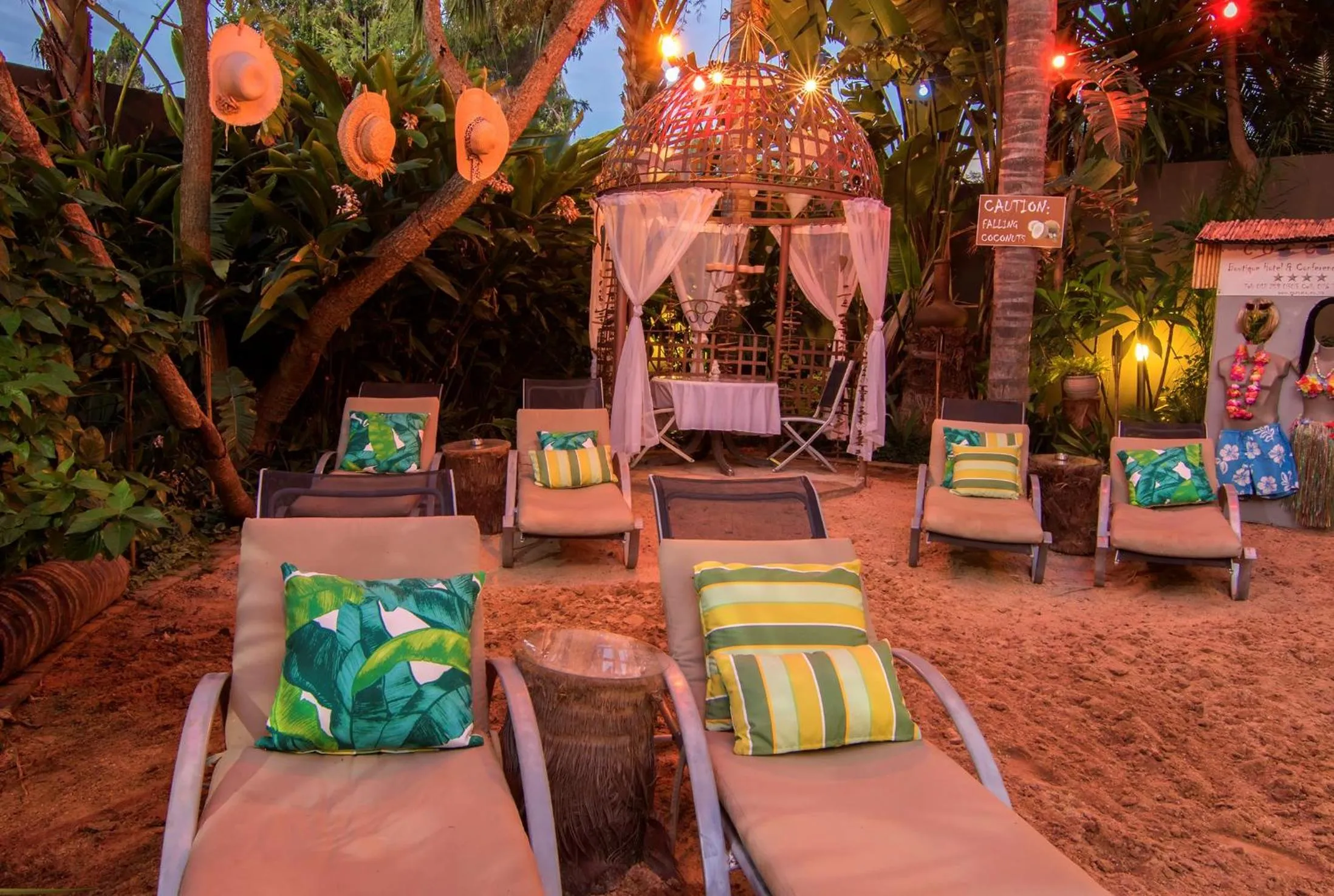 Night in Club Cocomo