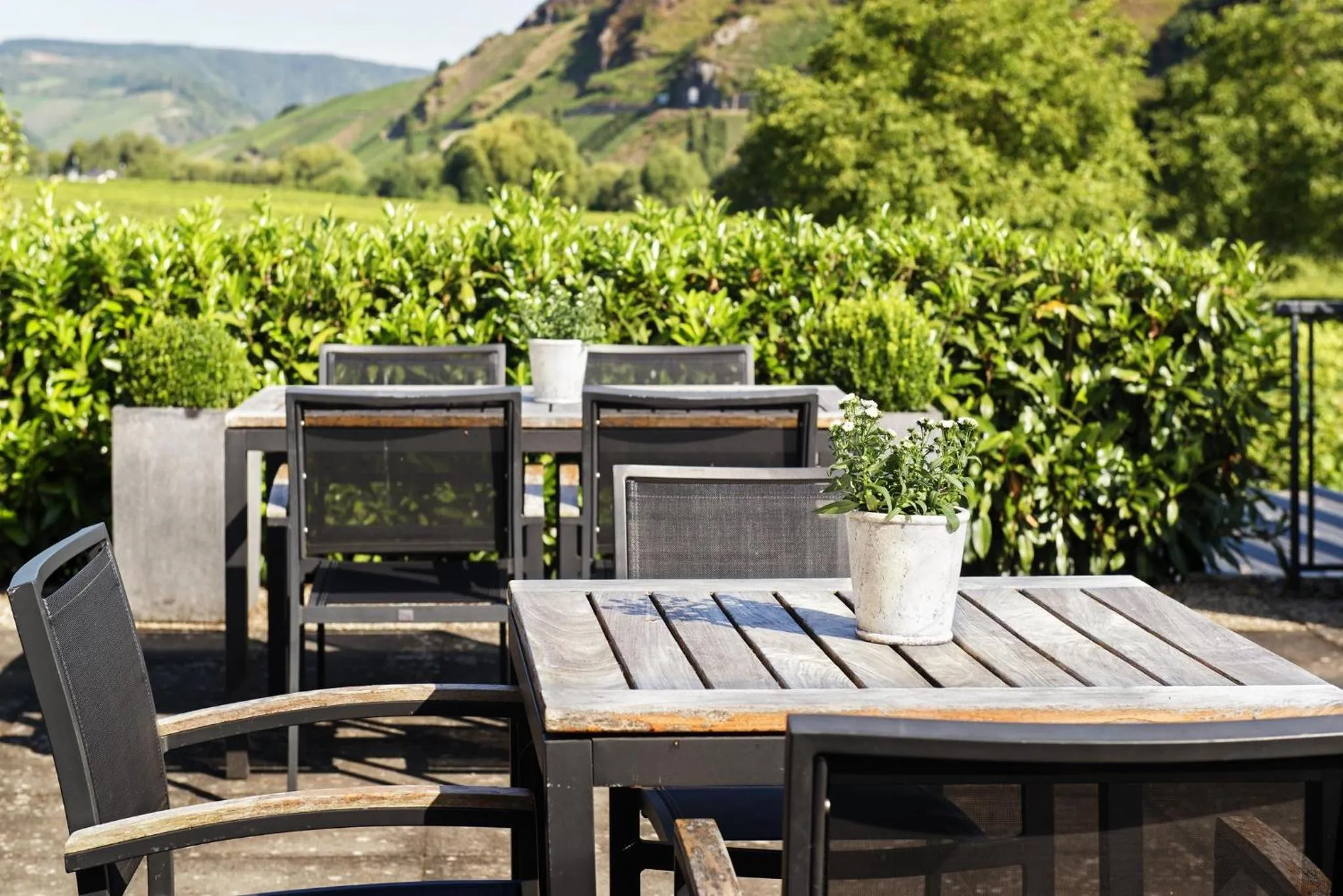 Garden in Weingut & Gästehaus Christoph Clüsserath