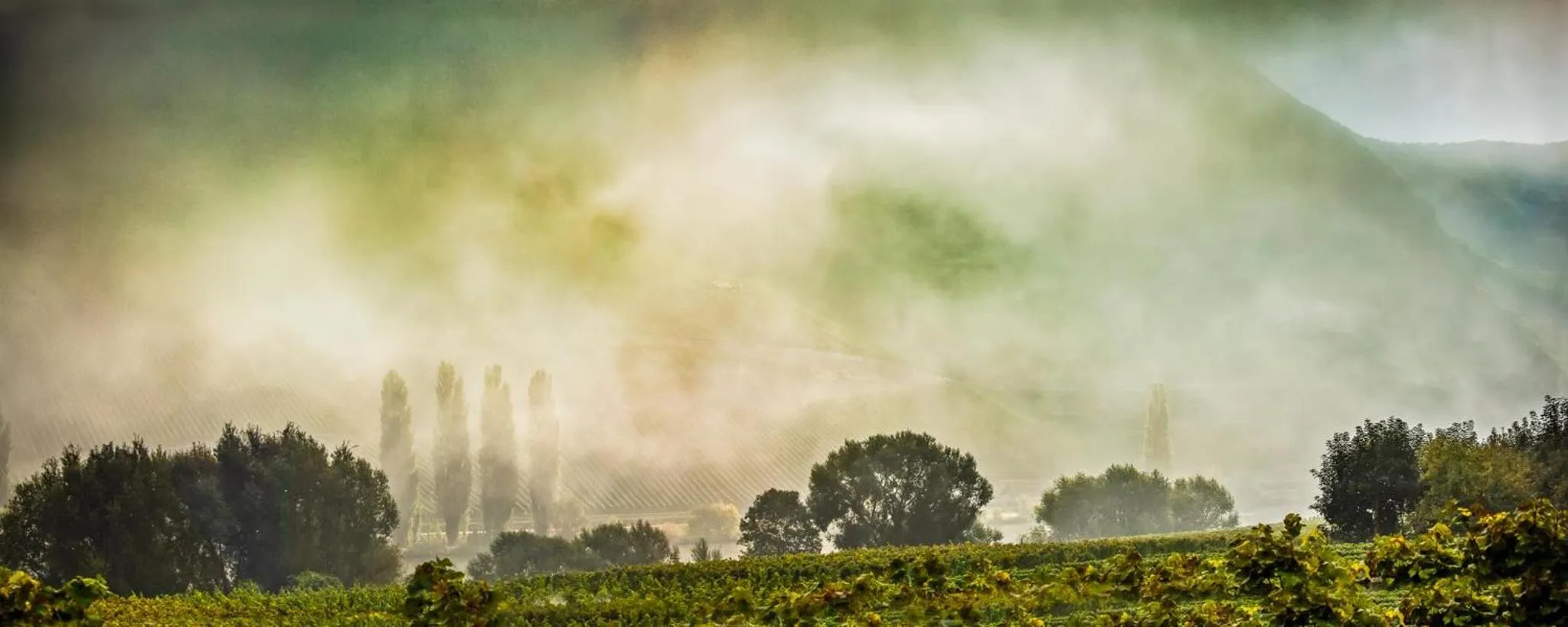 Neighbourhood in Weingut & Gästehaus Christoph Clüsserath