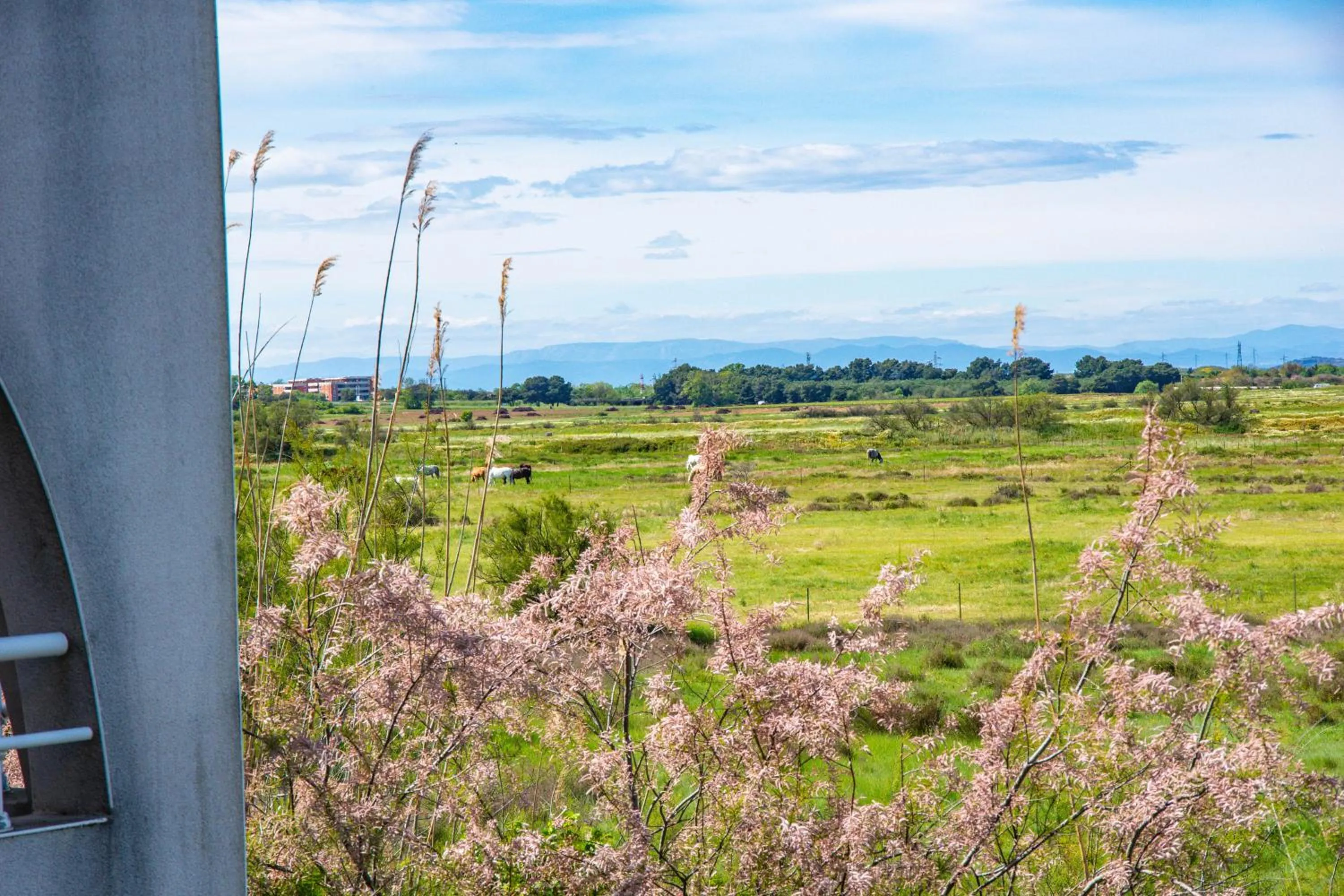 Résidence Hôtelière Natureva & Spa