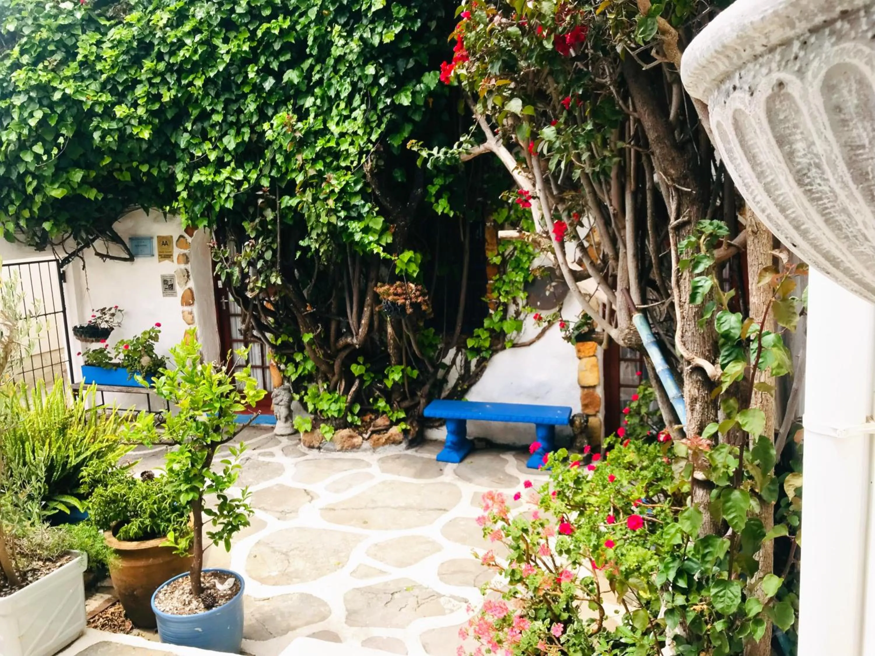 Property building in Athenian Villa