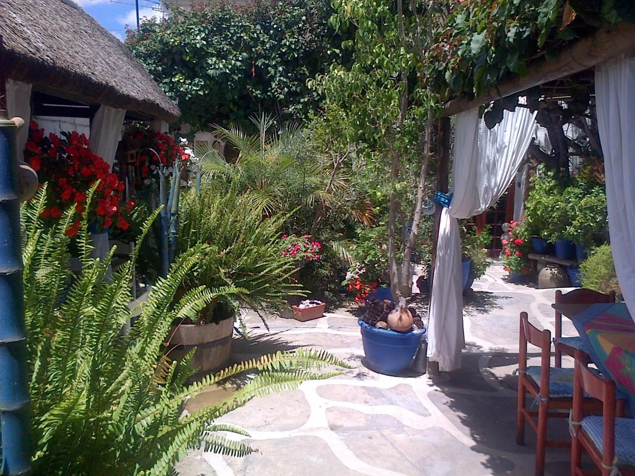 Patio in Athenian Villa