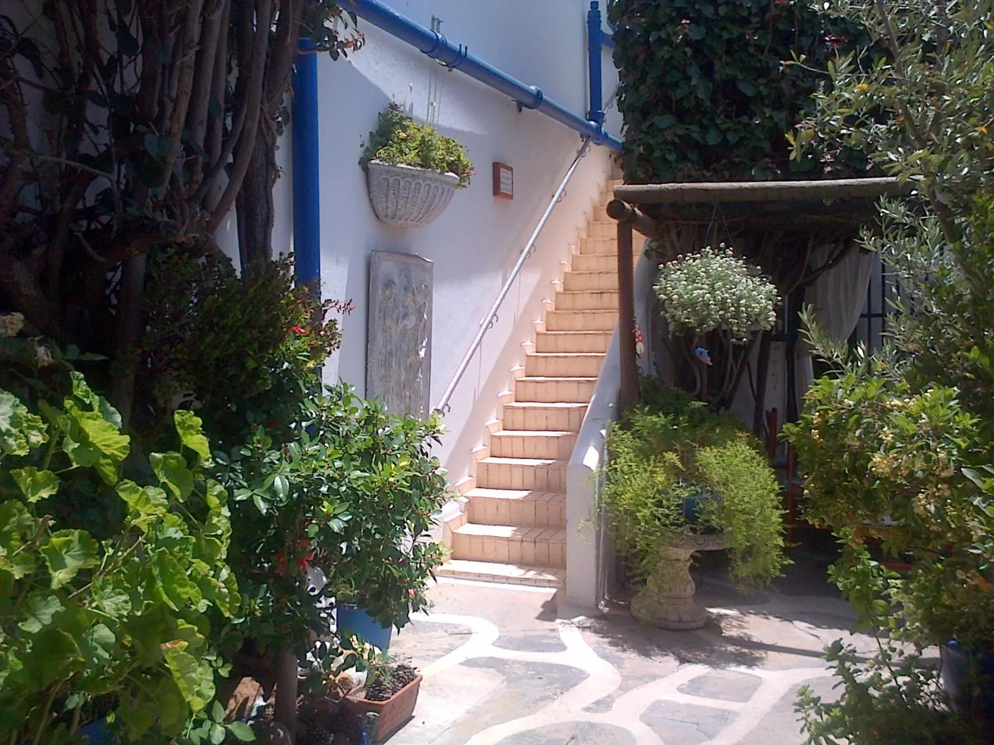 Property building in Athenian Villa