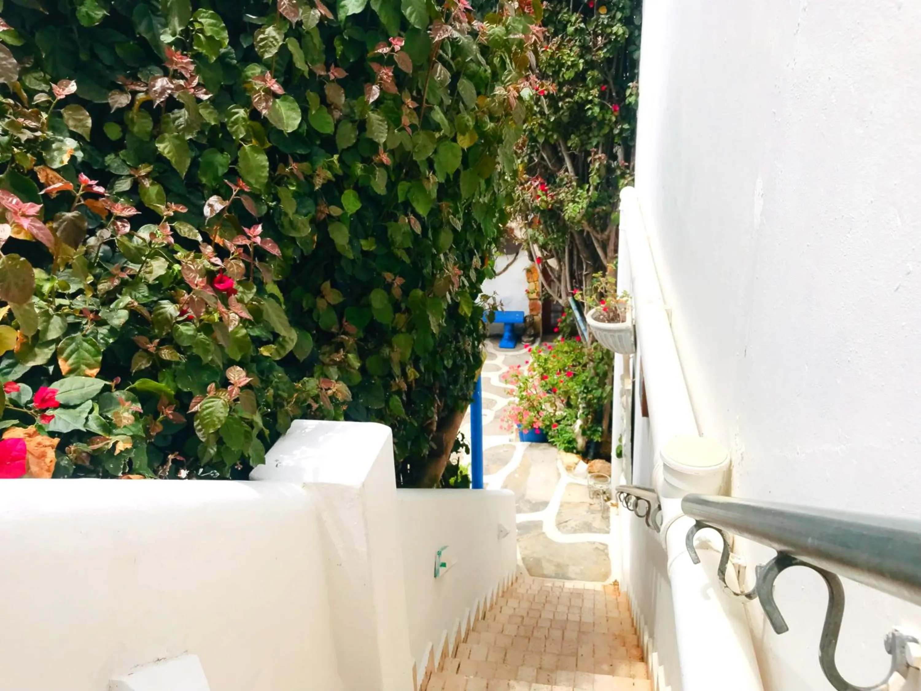 Property building in Athenian Villa