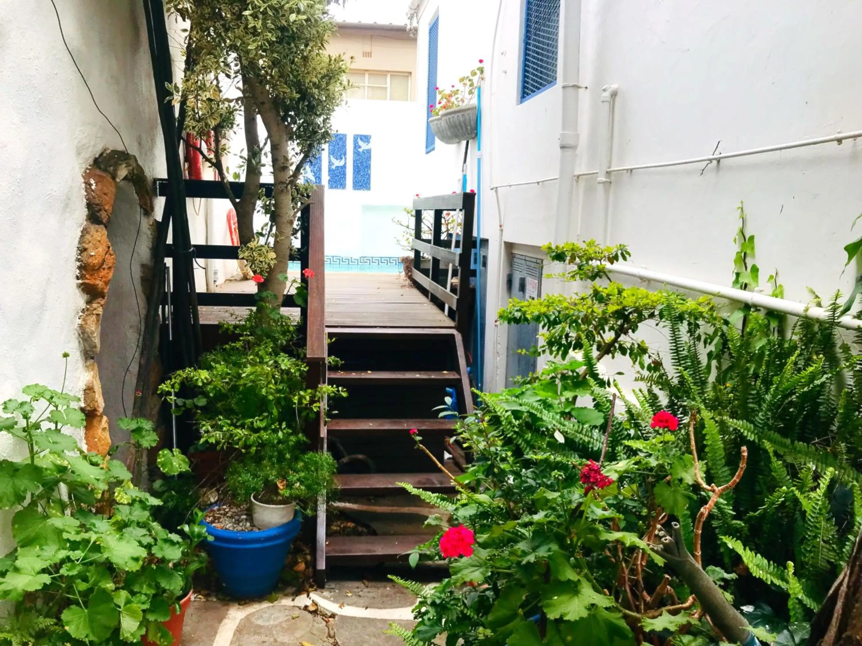 Swimming pool in Athenian Villa
