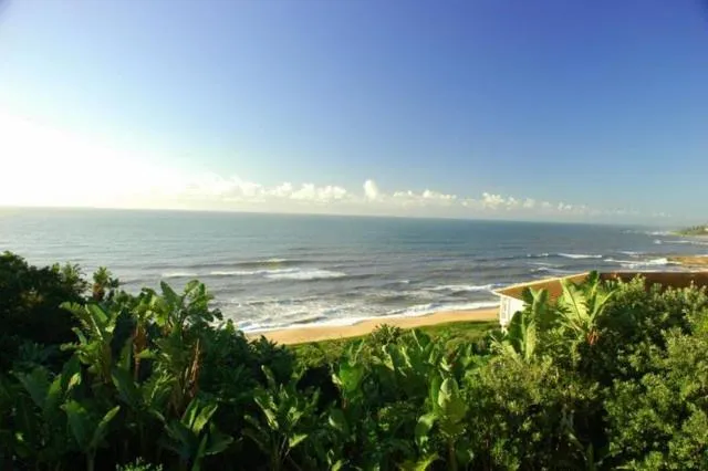 Natural landscape in Albatross Guesthouse