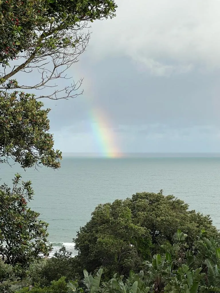 Garden view in Albatross Guesthouse