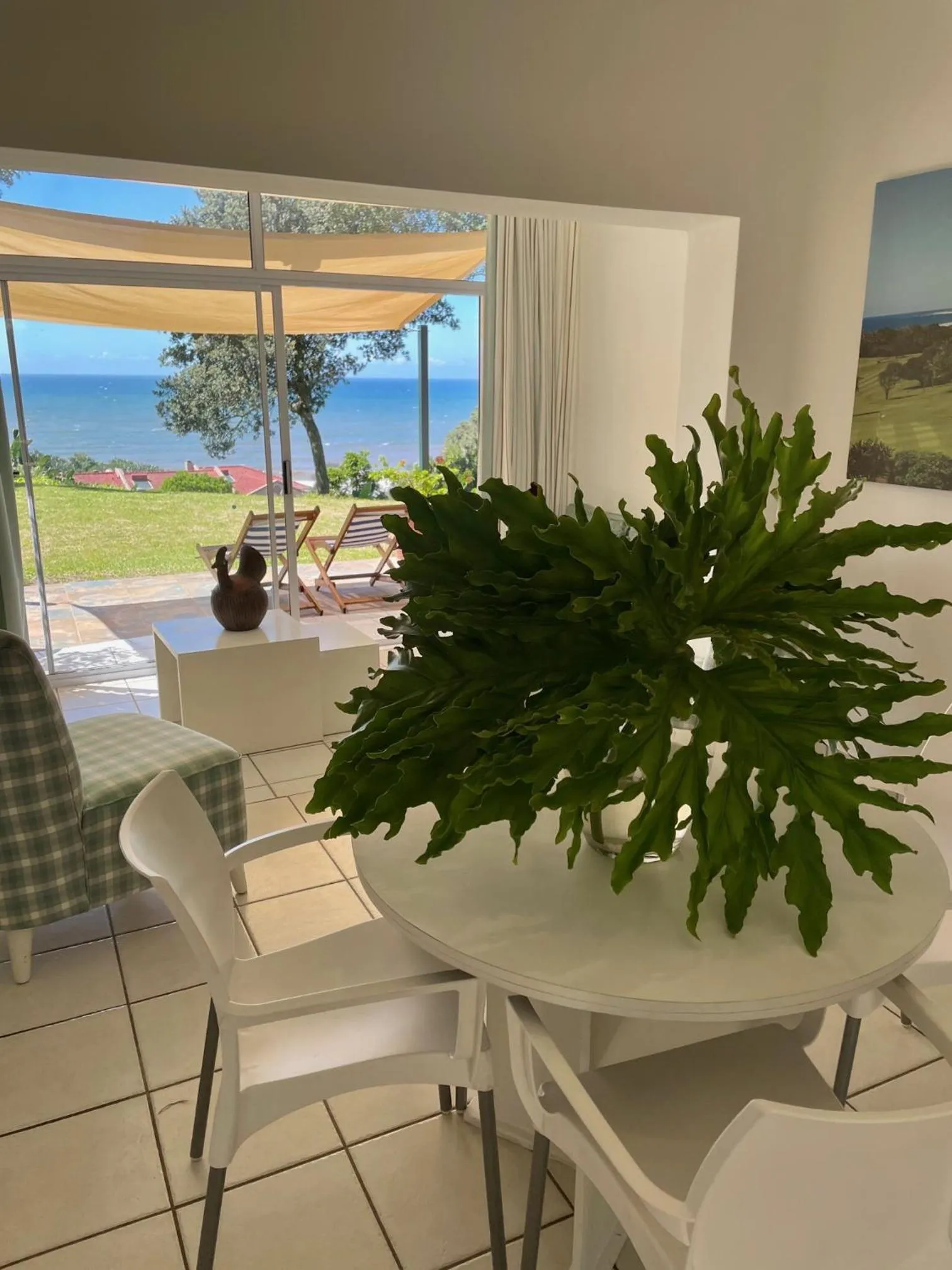 Garden view in Albatross Guesthouse