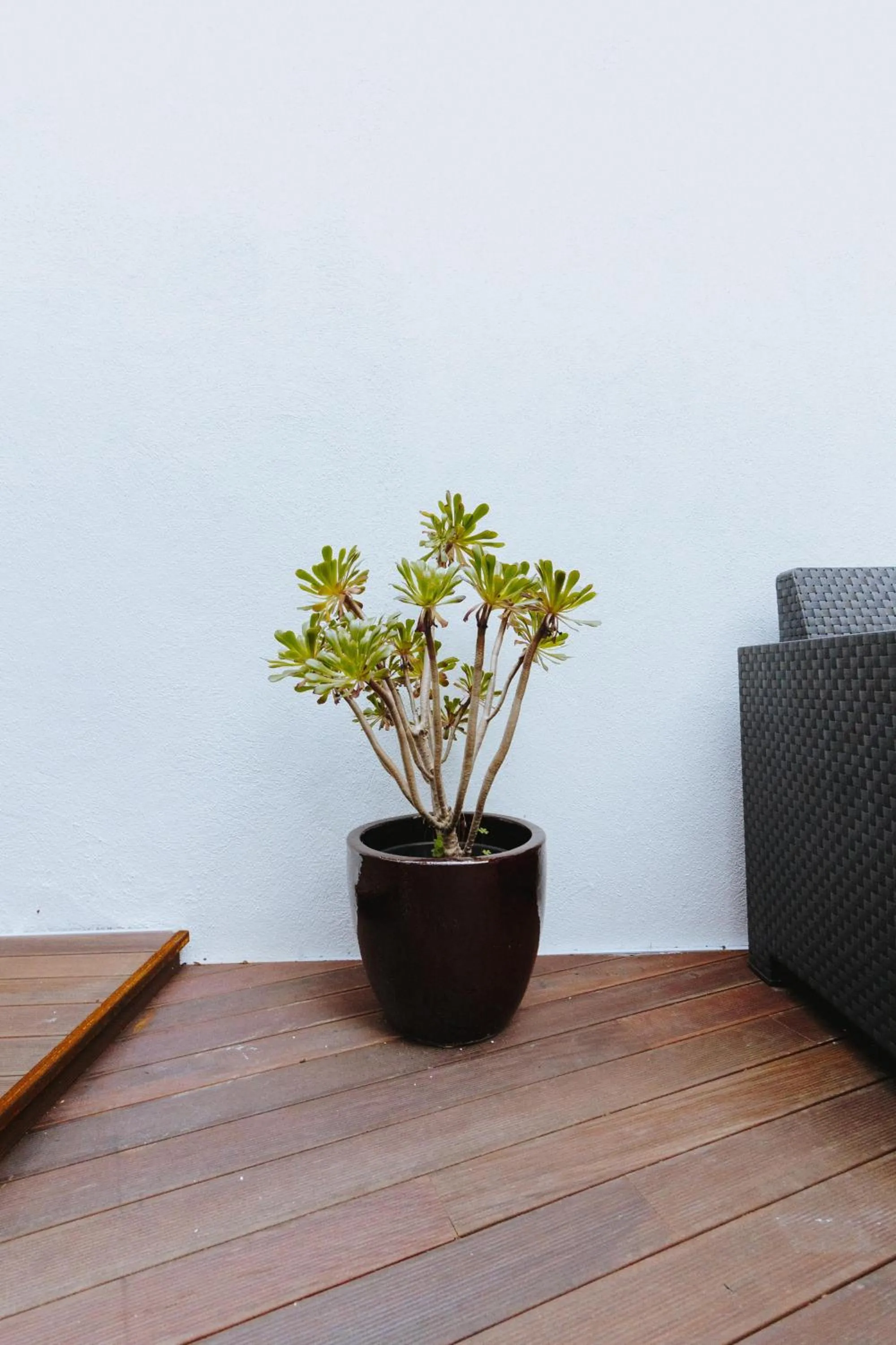 aDuquesa - GuestHouse