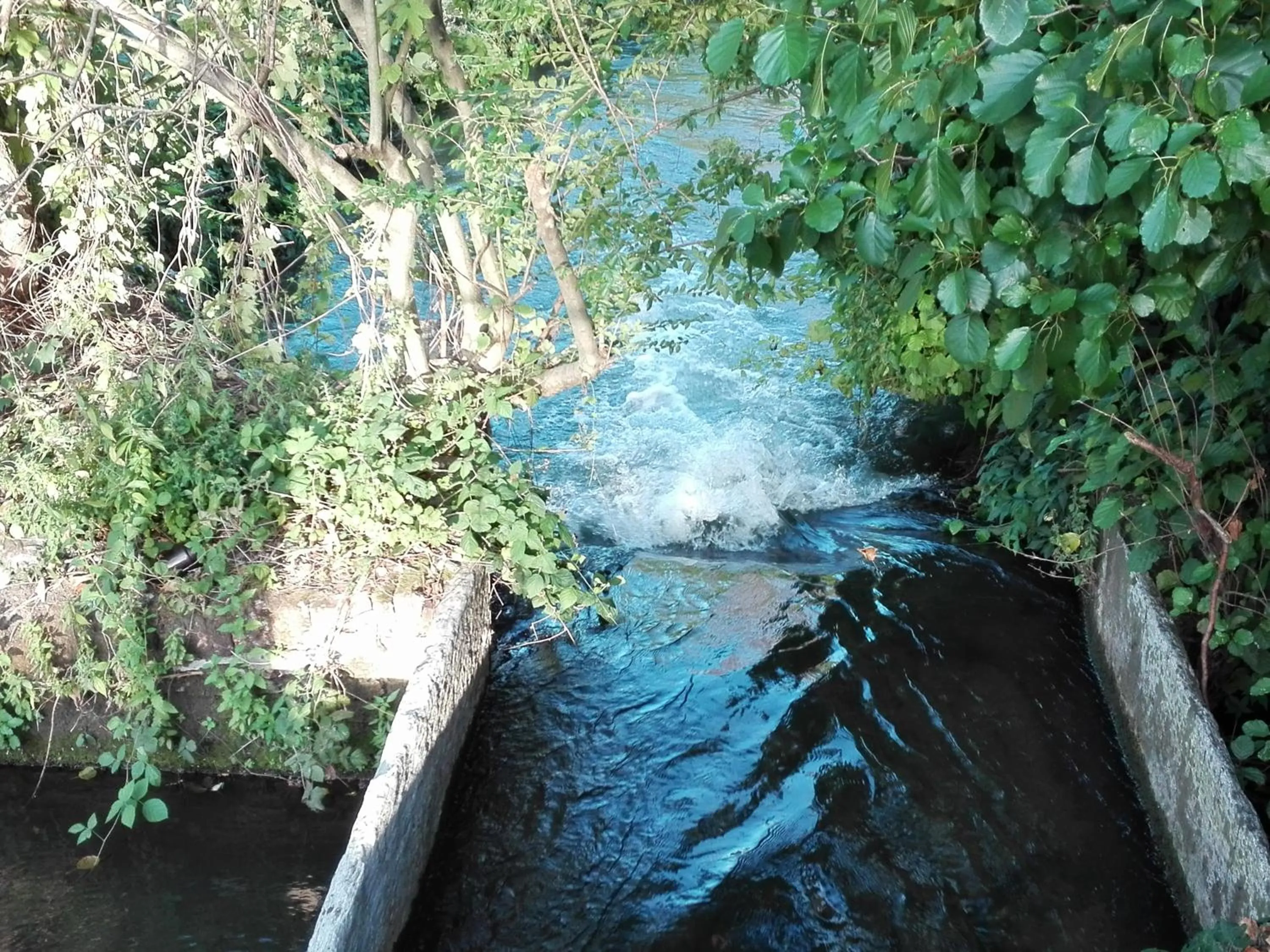 Natural landscape in Hotel Motel Est