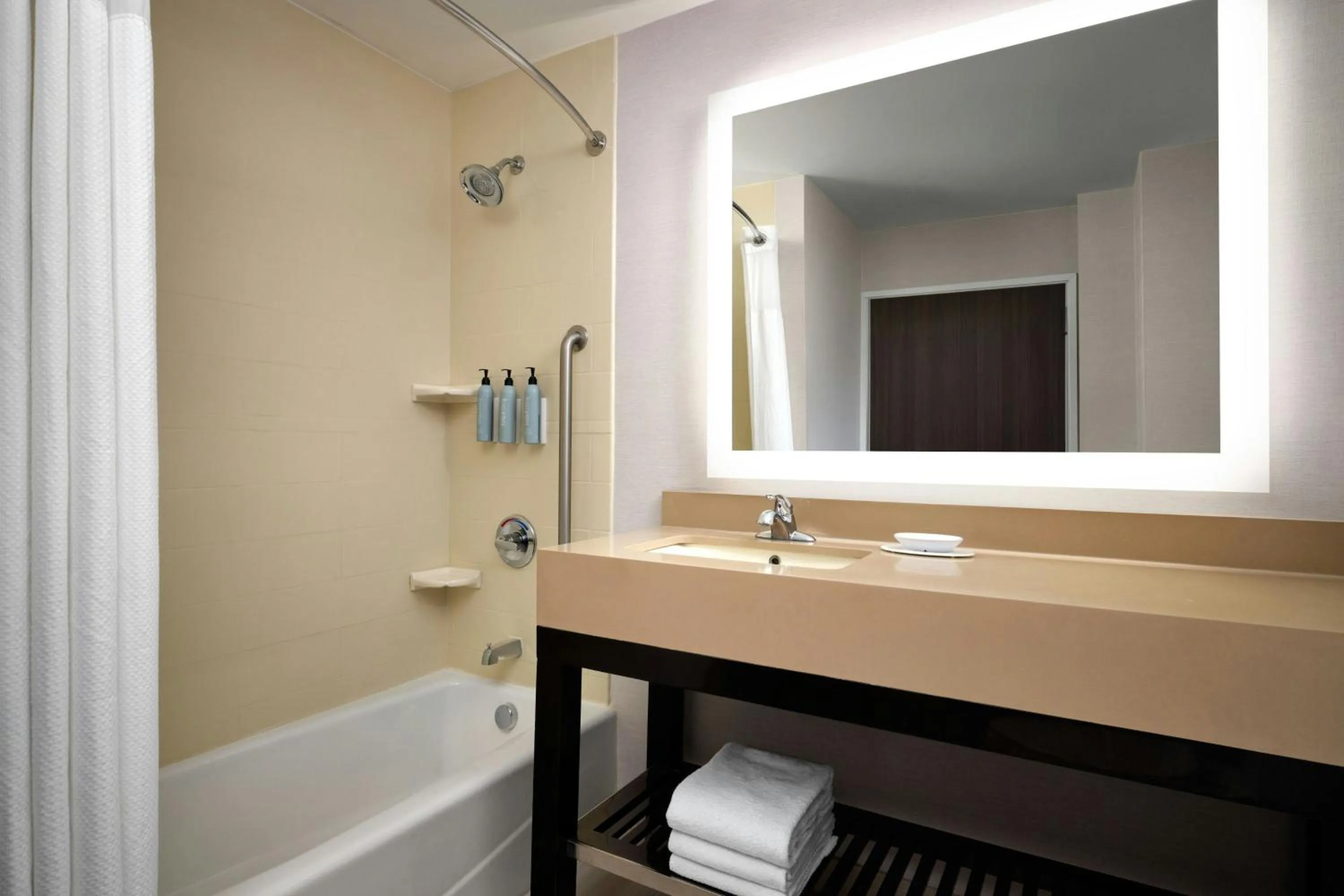 Bathroom in Courtyard by Marriott Dallas DFW Airport North/Grapevine