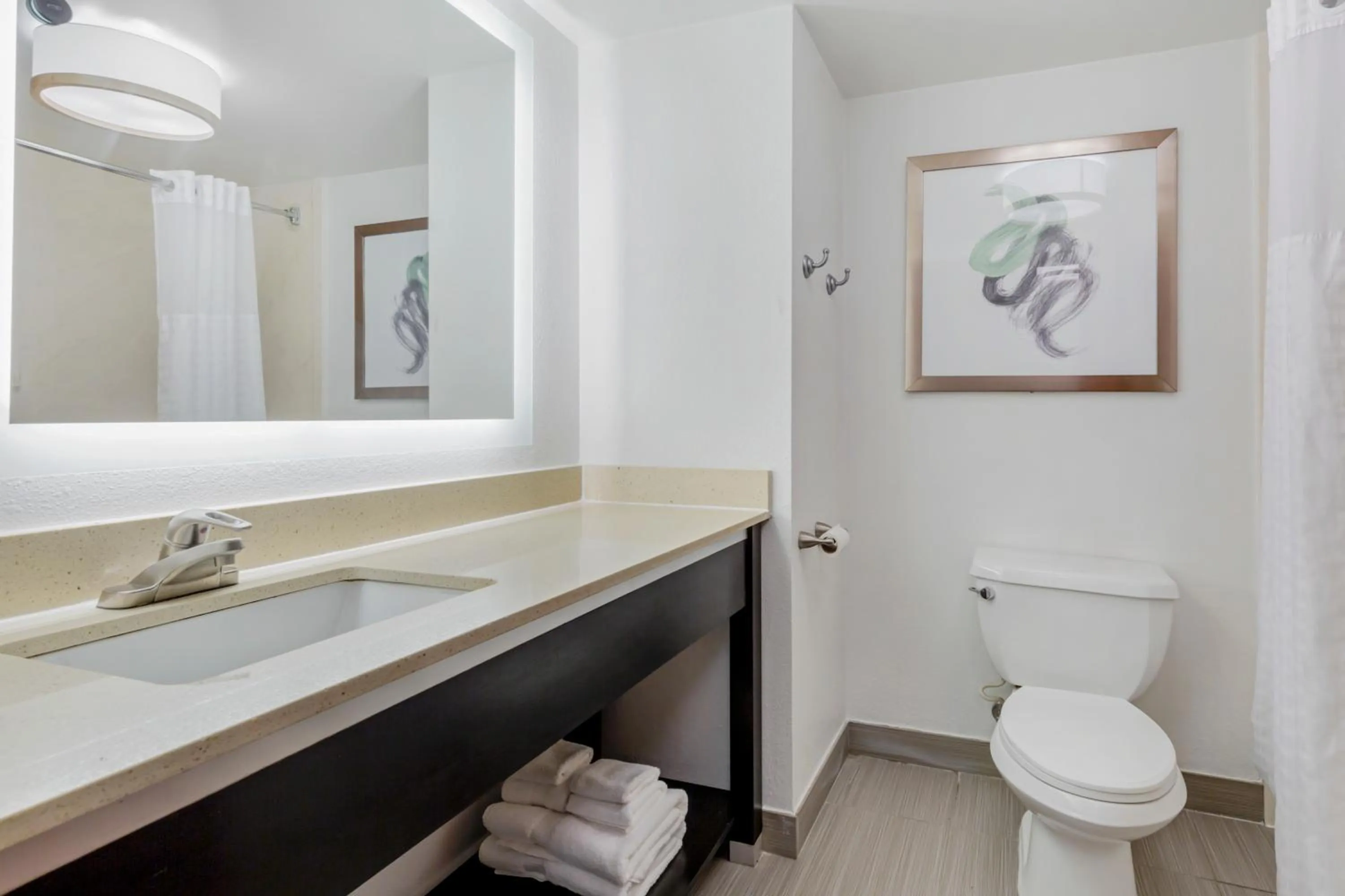 Bathroom in Comfort Inn Laurel - Fort Meade