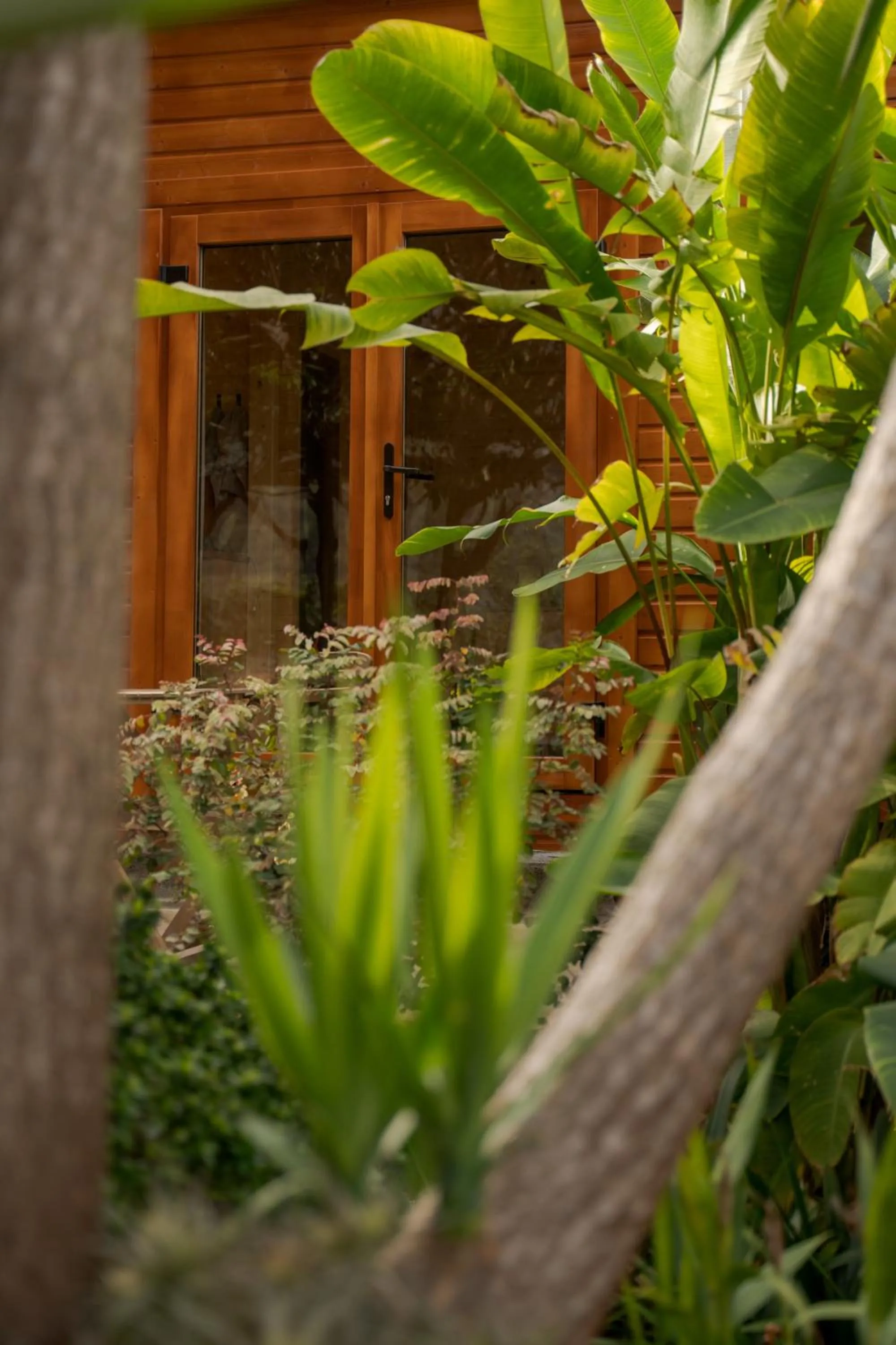 Day in Madeira Surf Lodge