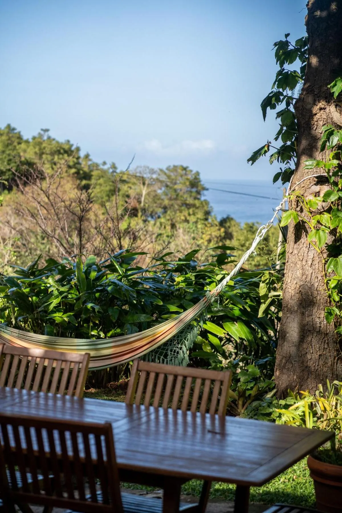 Natural landscape in Madeira Surf Lodge