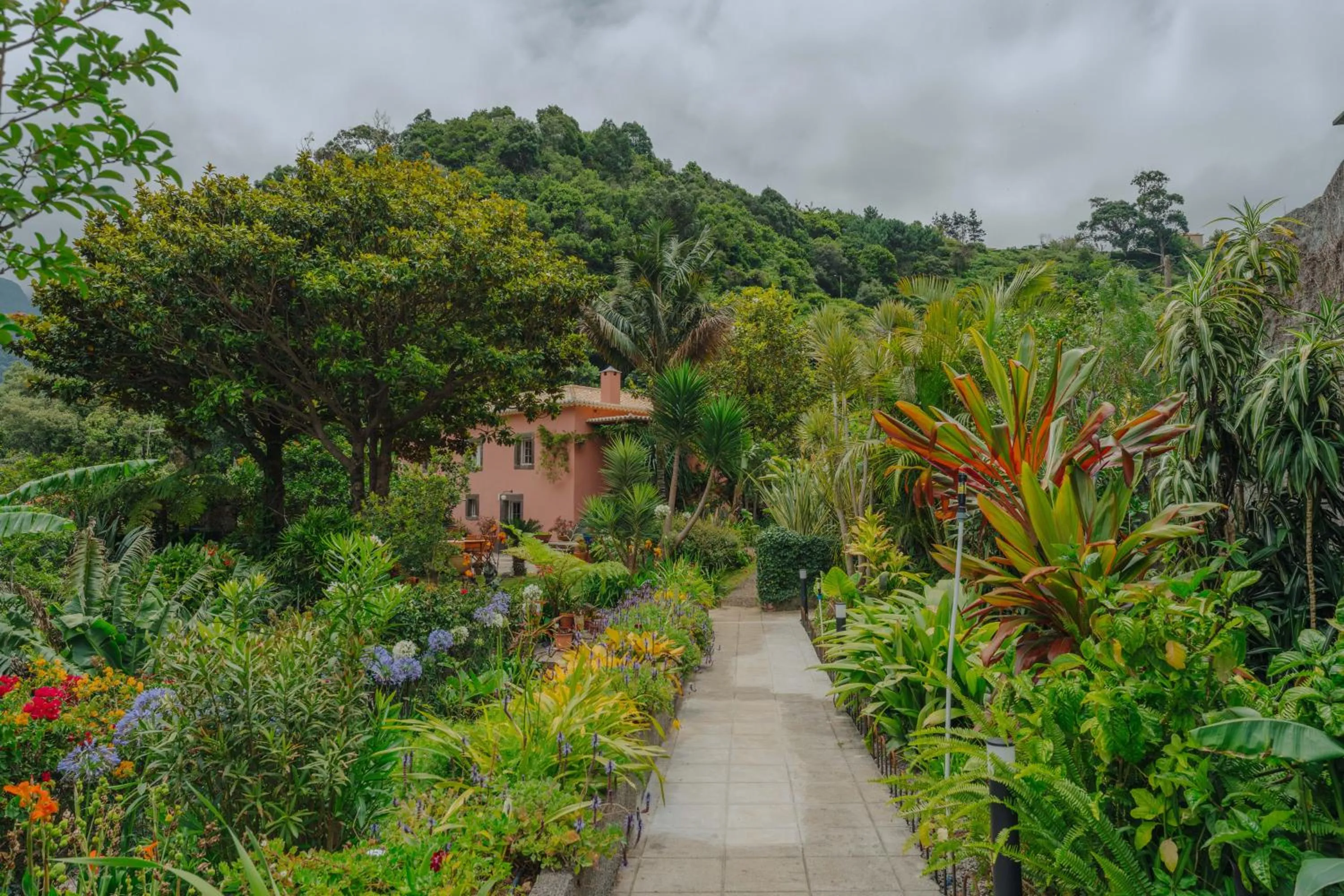 Spring in Madeira Surf Lodge