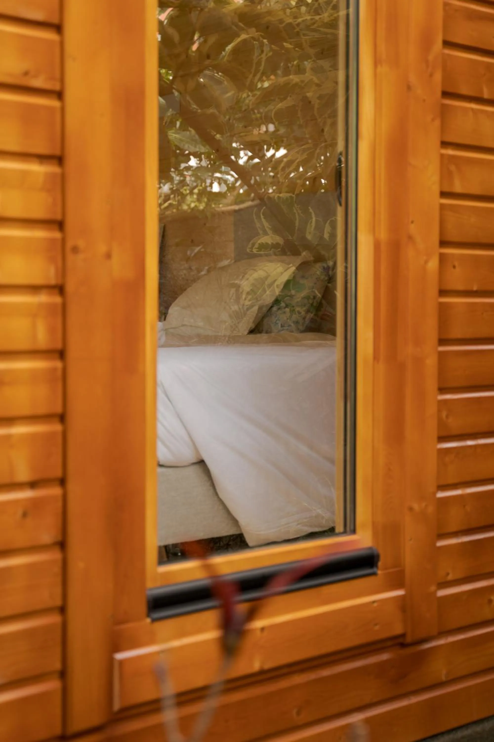 Bed in Madeira Surf Lodge